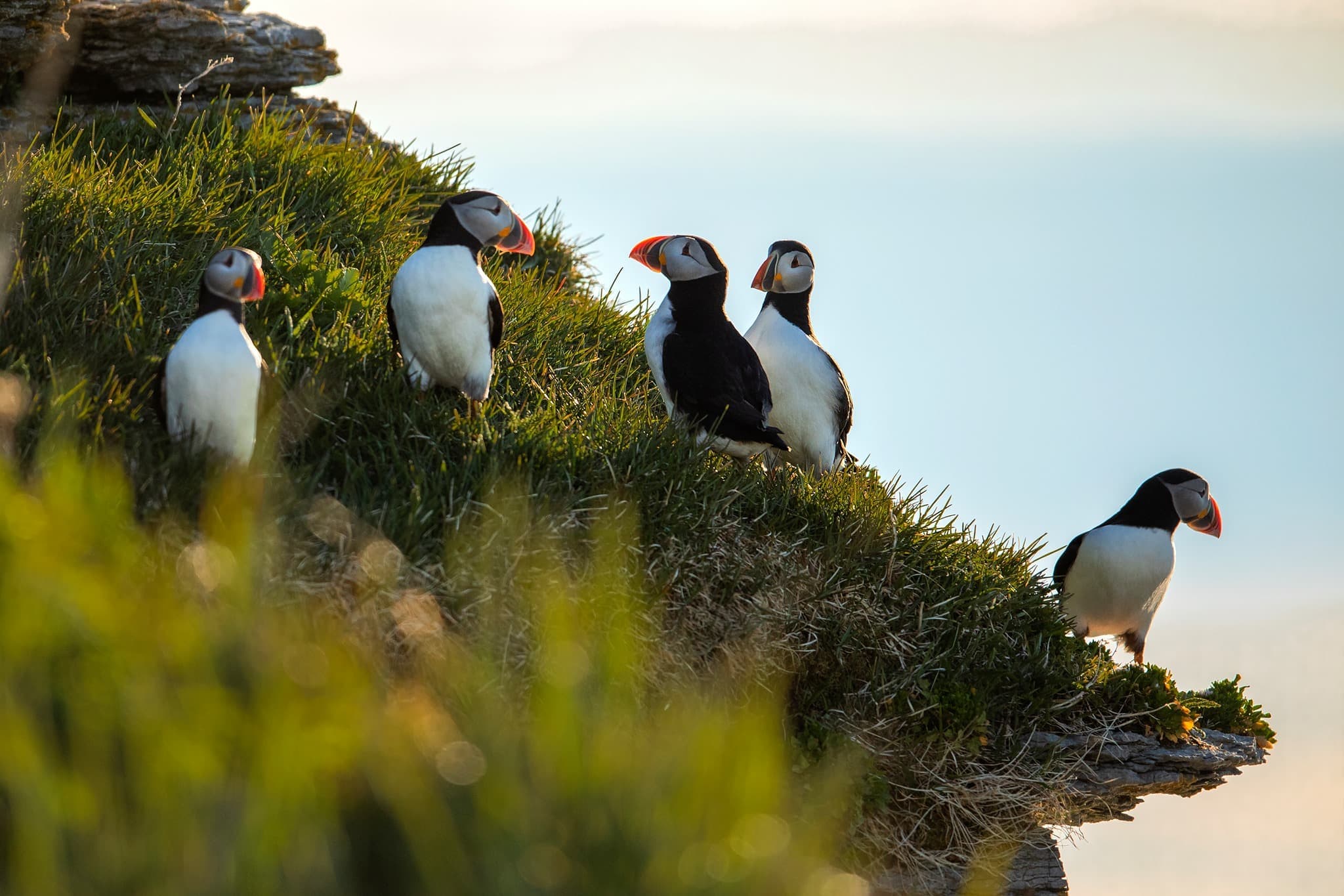 Facebook : Réserve de parc national de l'Archipel-de-Mingan