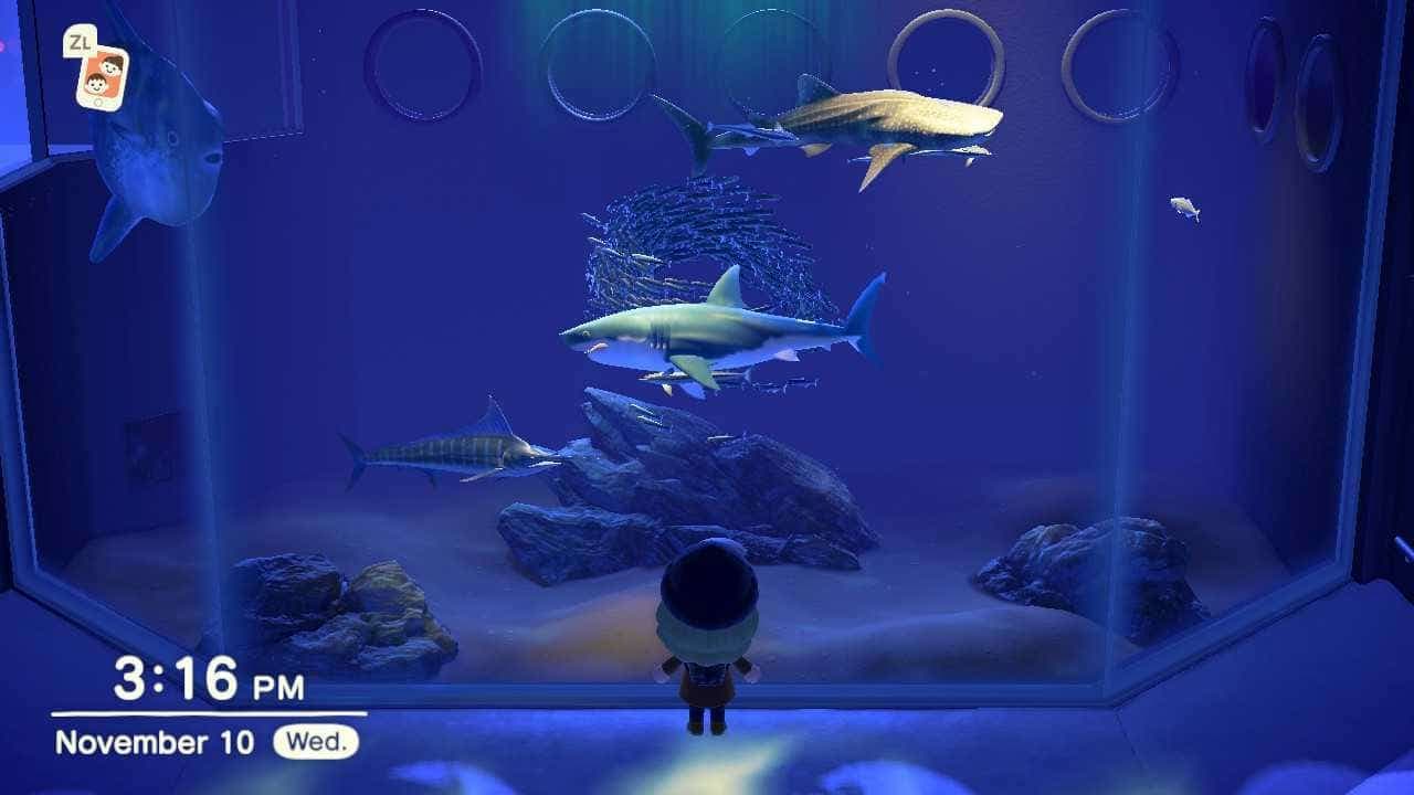 Capture d'écran: Kazzie Charbonneau