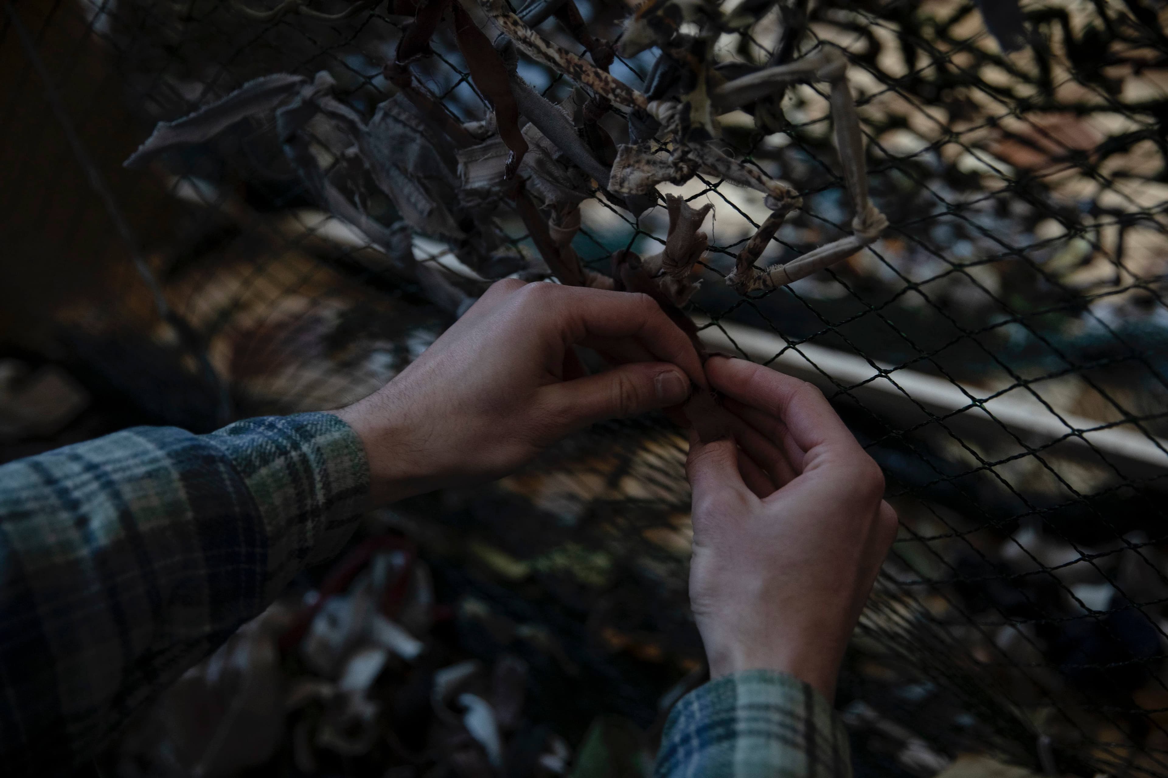 Photo Adrienne Surprenant