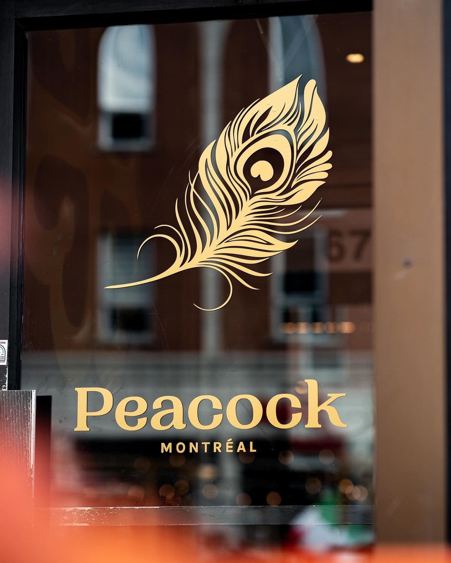 Facebook Peacock oiseau de nuit