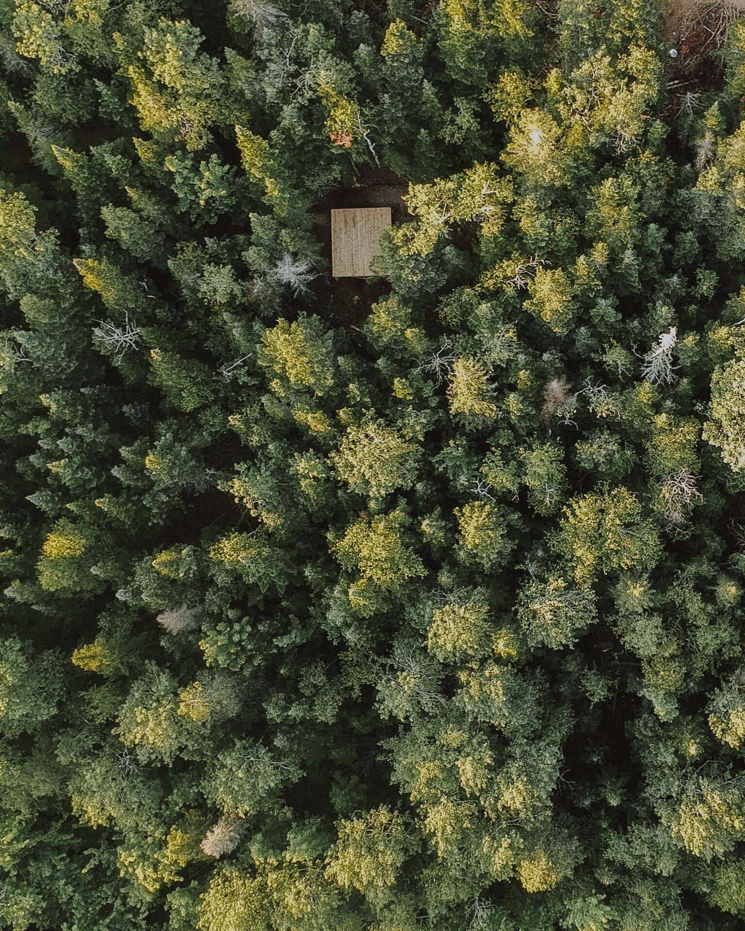 territoire charlevoix