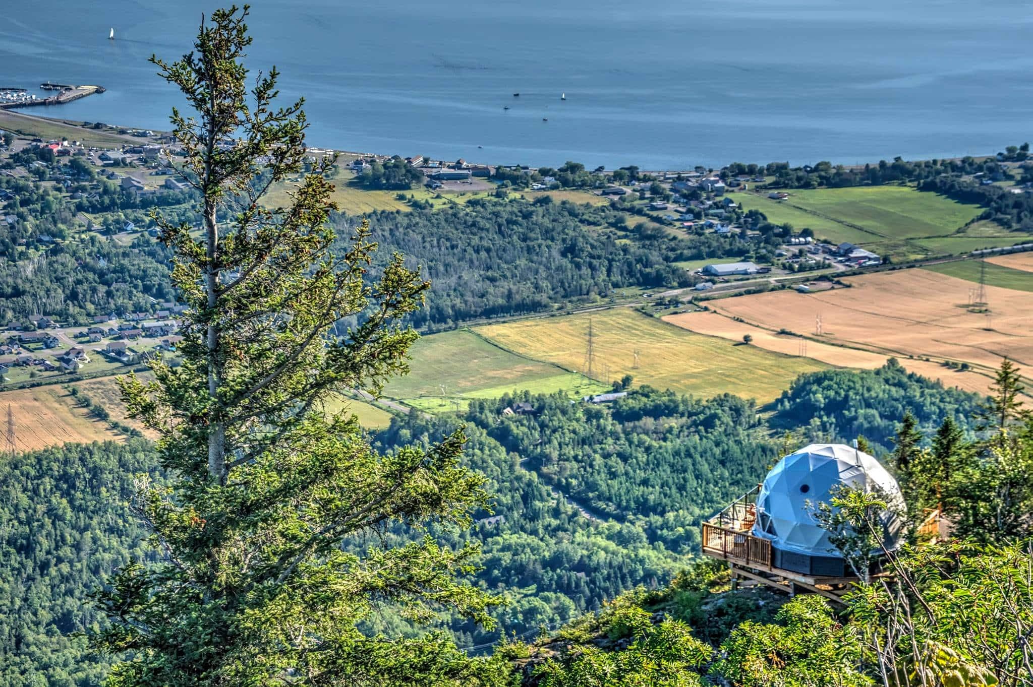 Facebook Martin Raymond