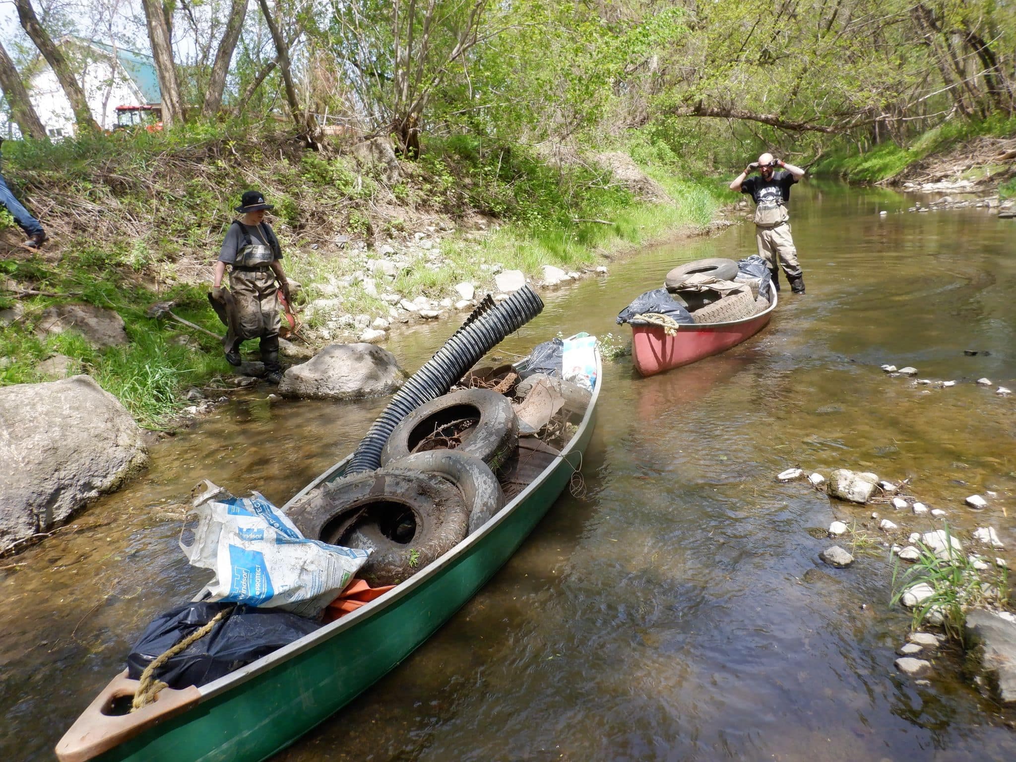 Courtoisie La vigile verte