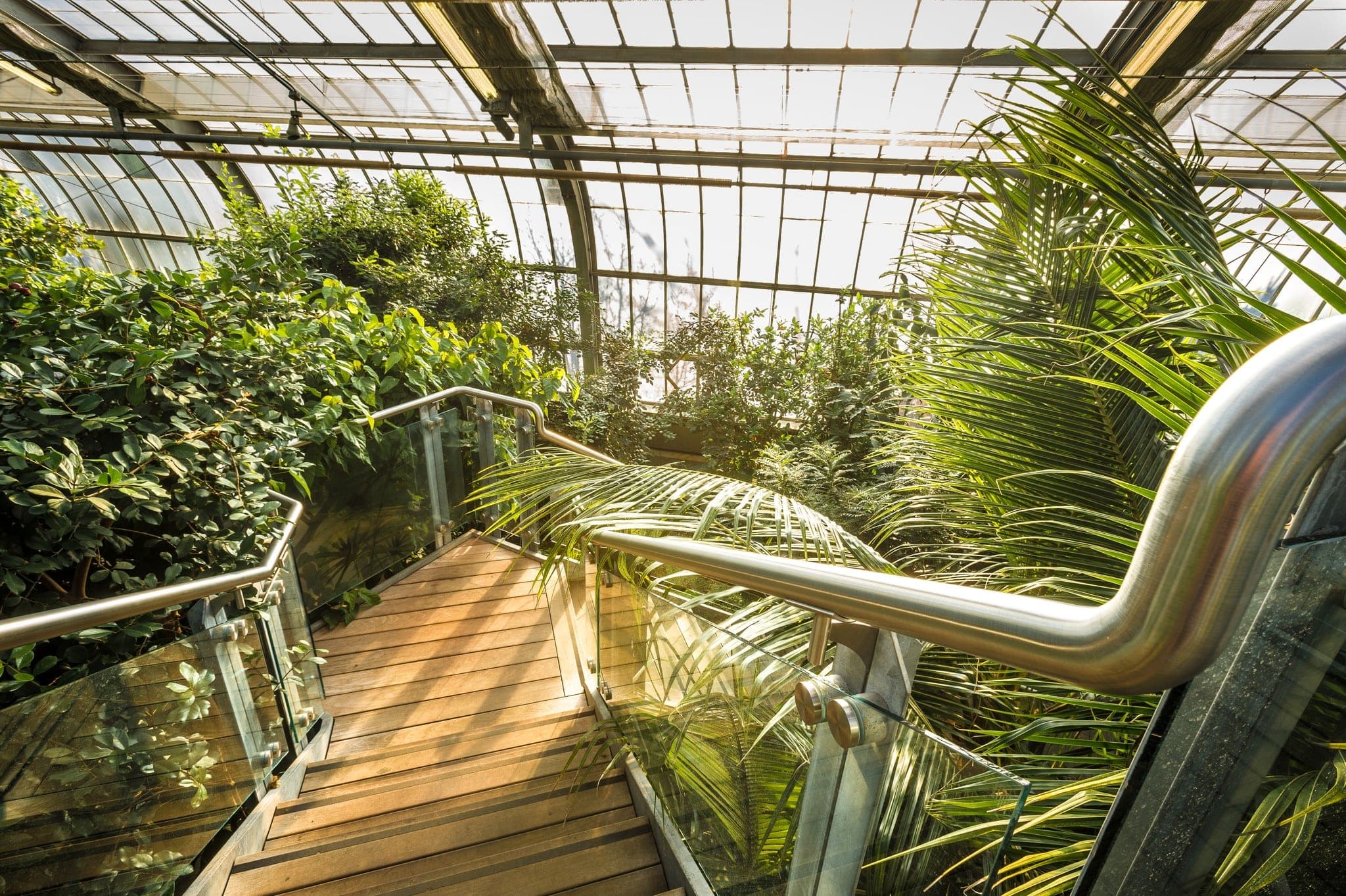 Espace pour la vie (Raymond Jalbert)