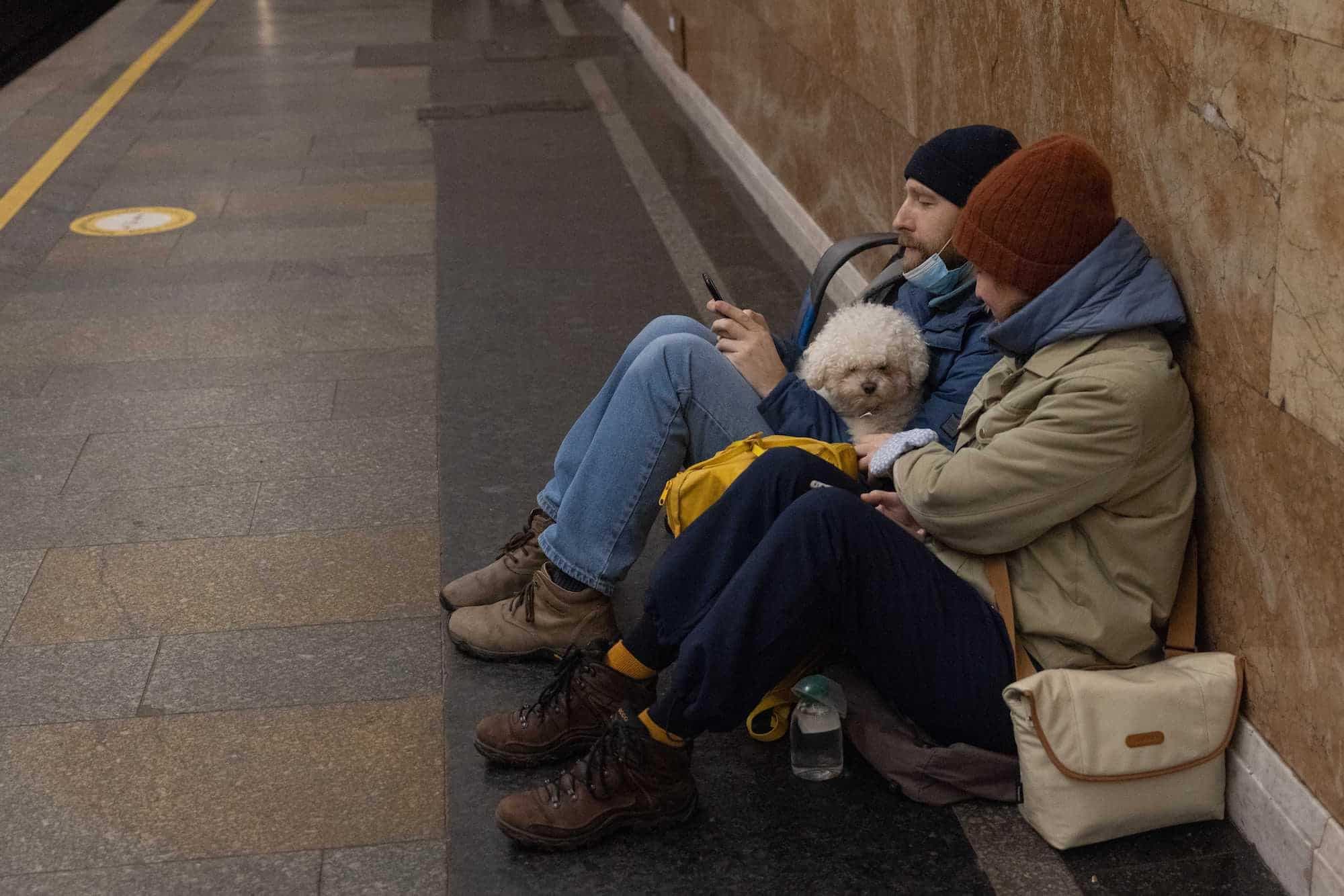 Facebook : Uanimals, organisme communautaire