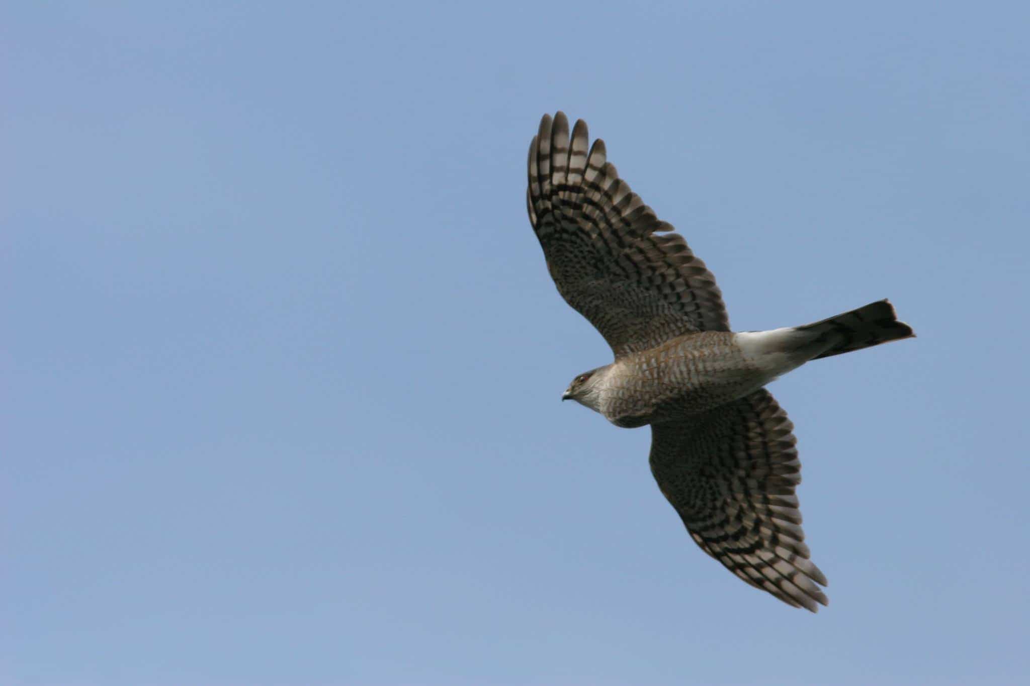 Facebook : Parc national du Bic