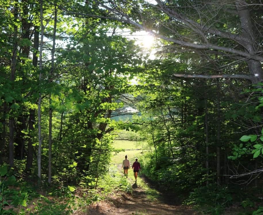 Facebook Corporation plein air de la Lièvre