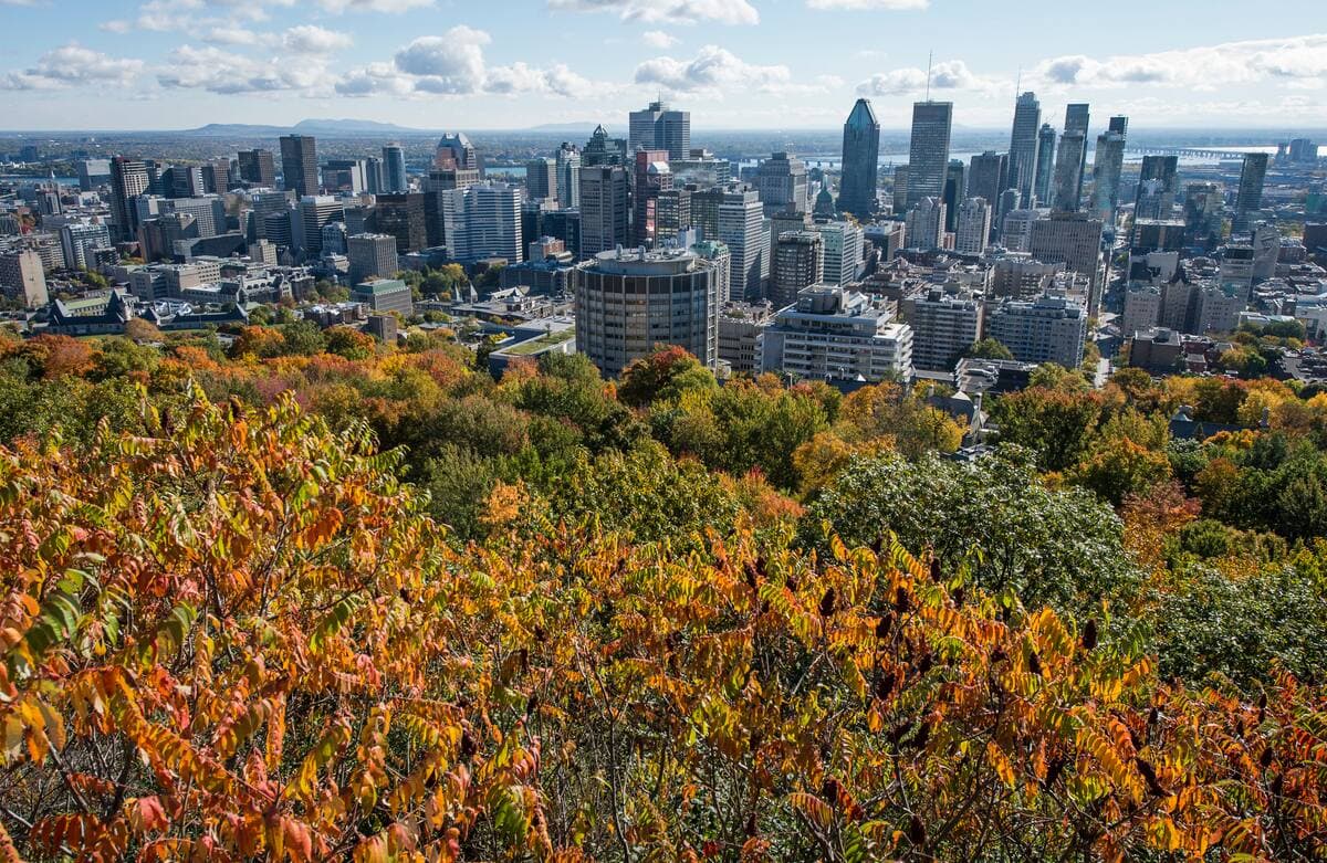 Photo d'archives, Agence QMI