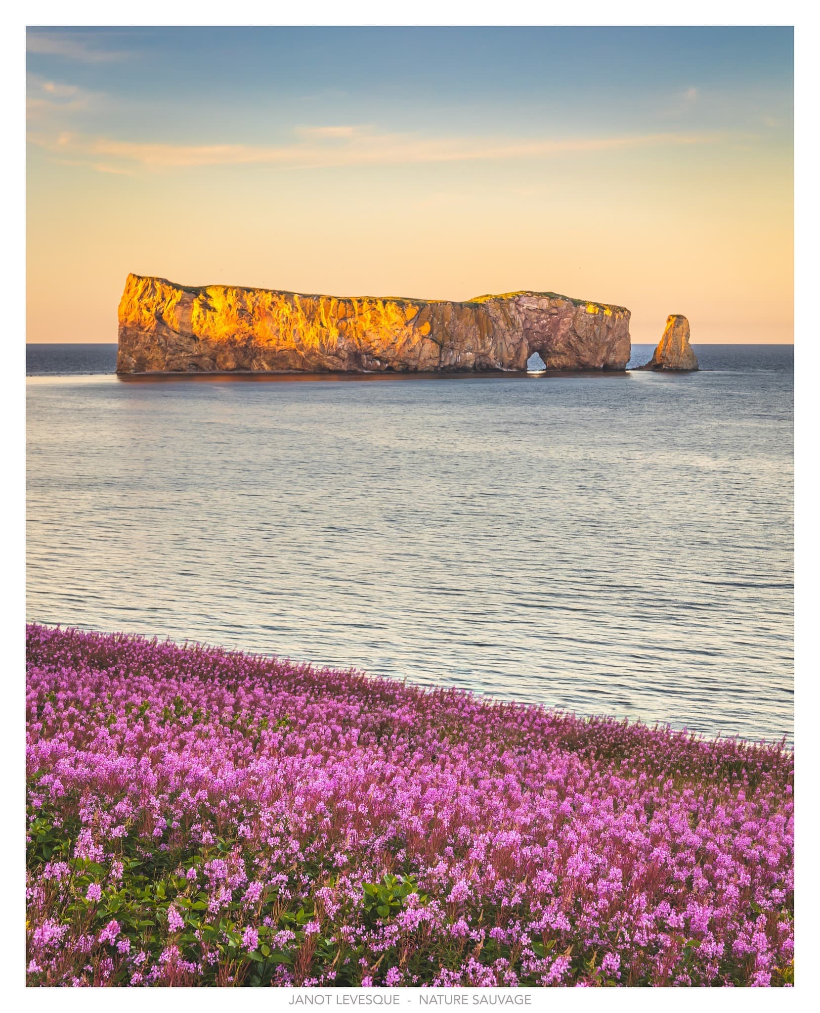 Janot Lévesque Photographe