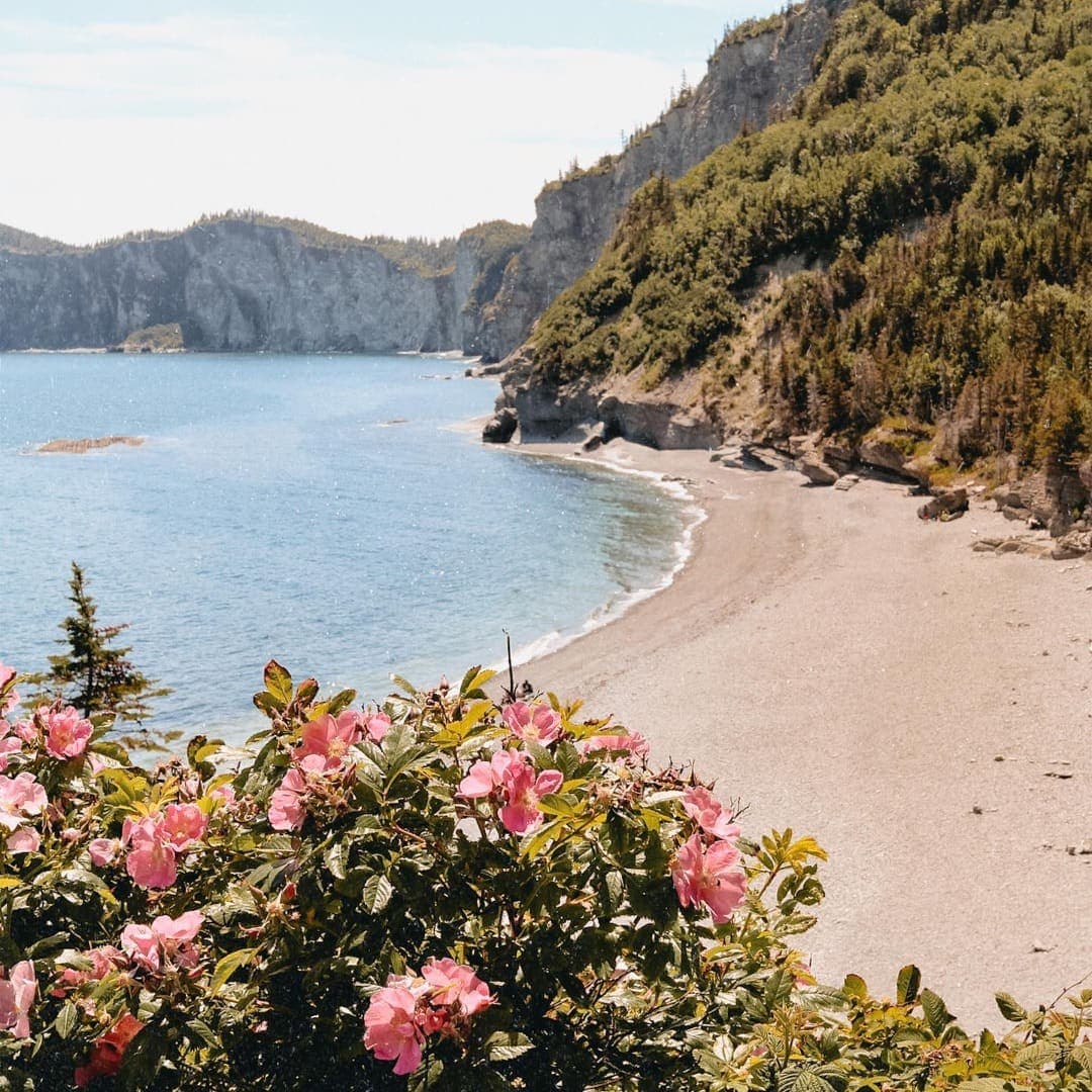 Facebook Bonjour Québec