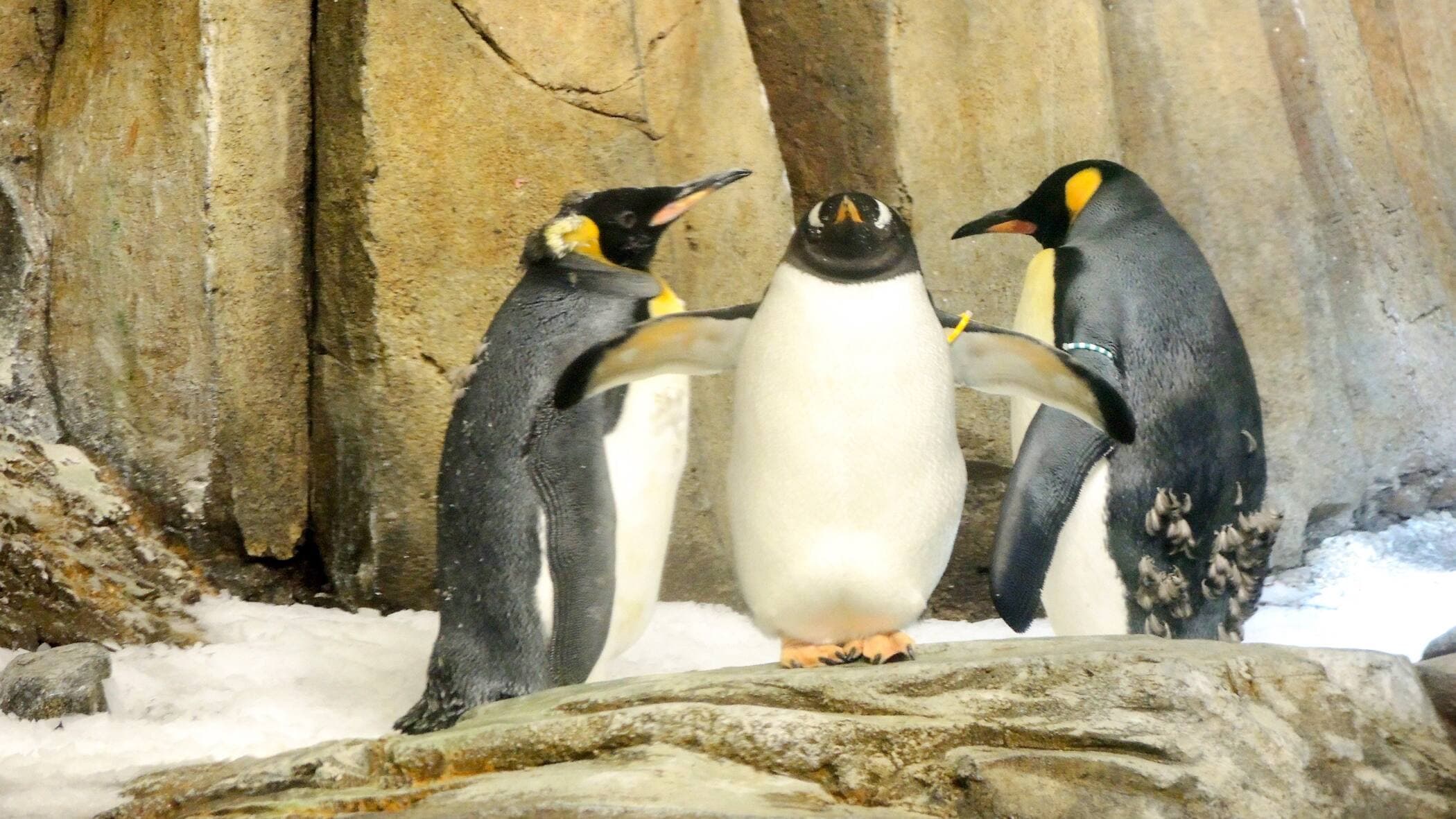 Photo d'archives, Agence QMI