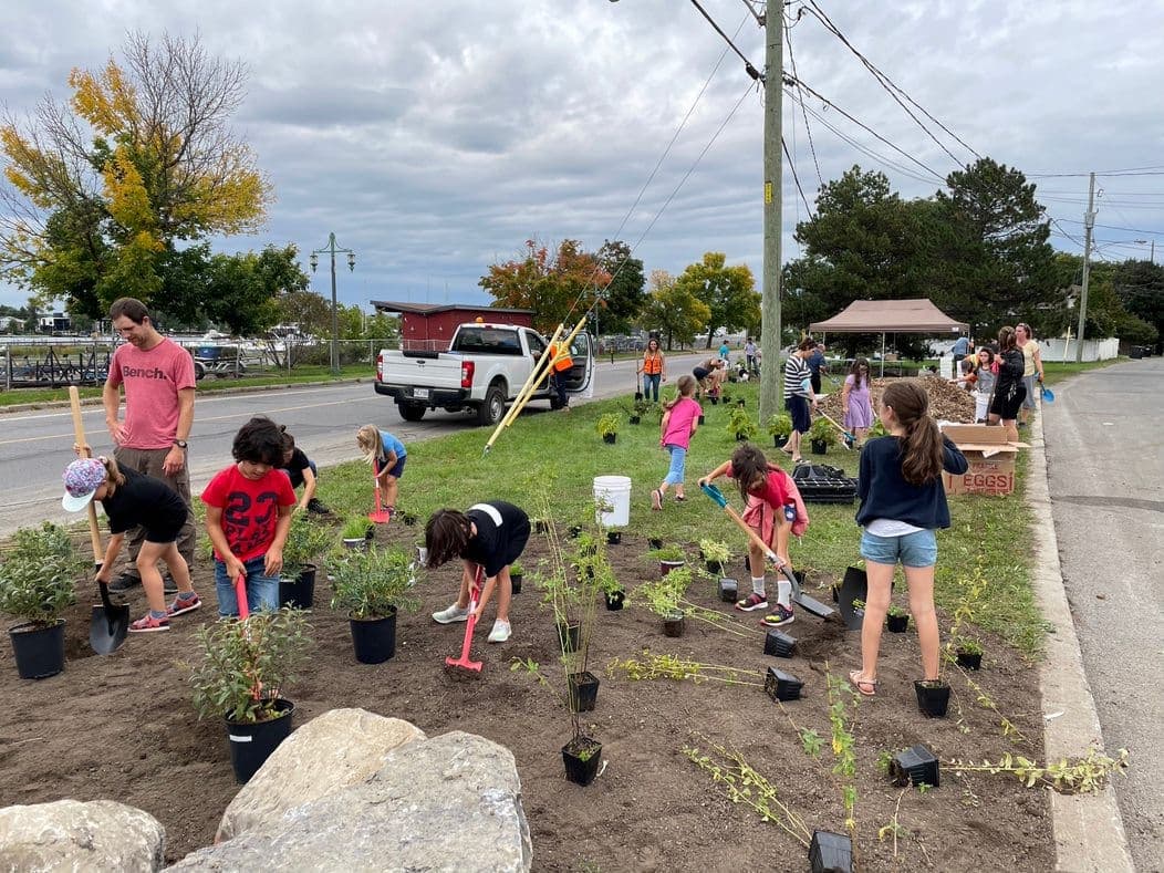 Création d'un jardin fruitier urbain, le premier de la ville, dans un espace vert non fonctionnel.