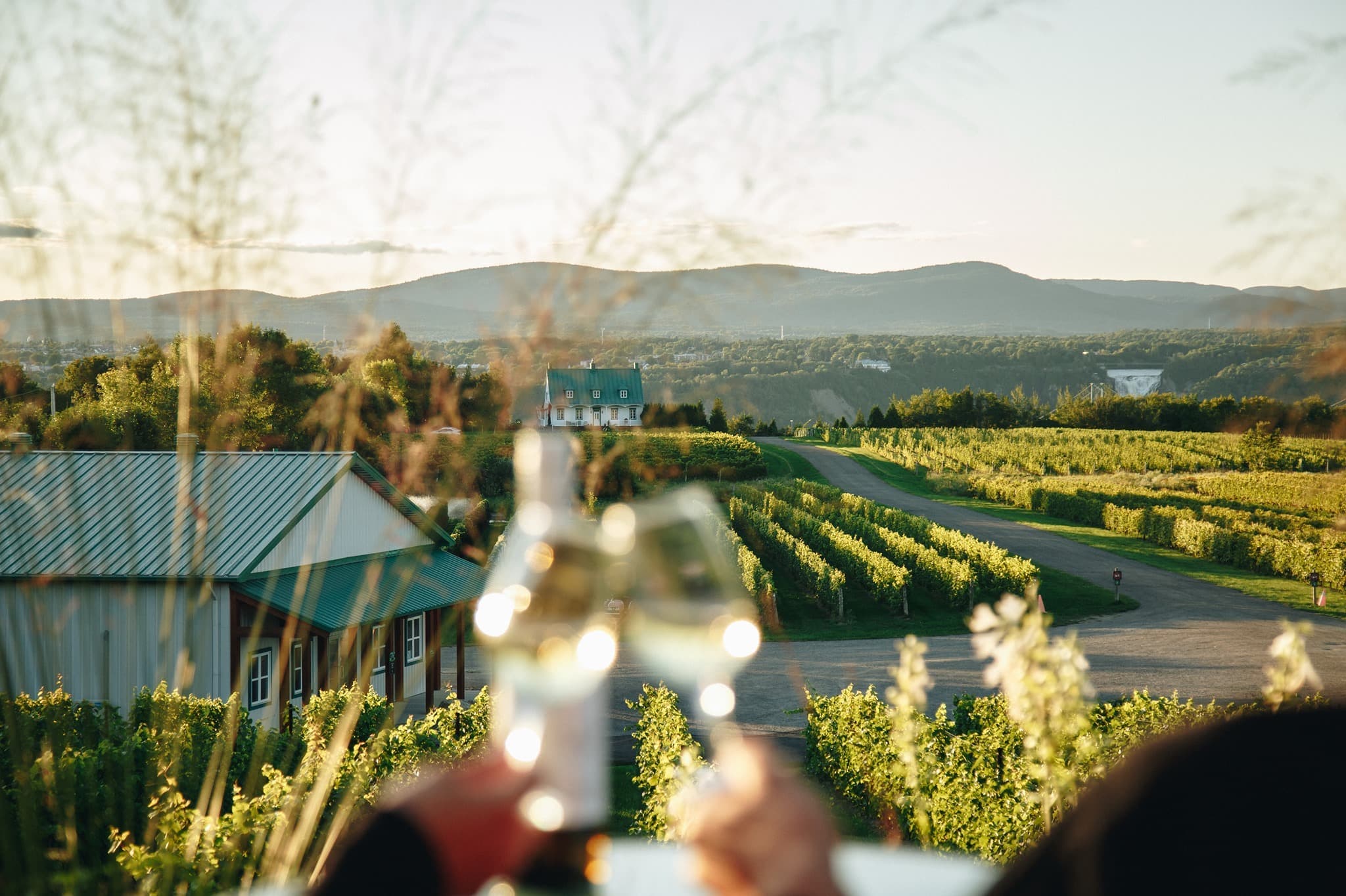 Facebook : Vignoble Sainte-Pétronille