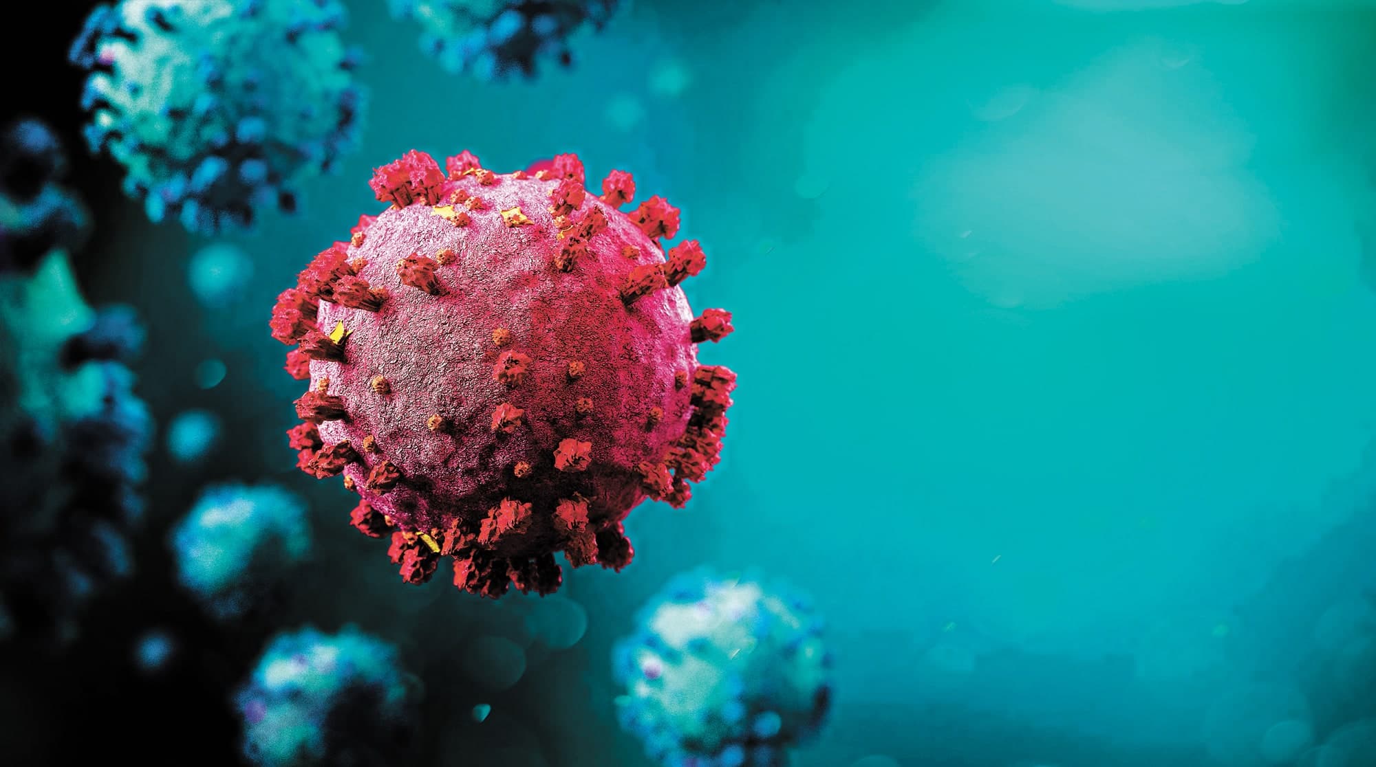 Illustration Adobe Stock