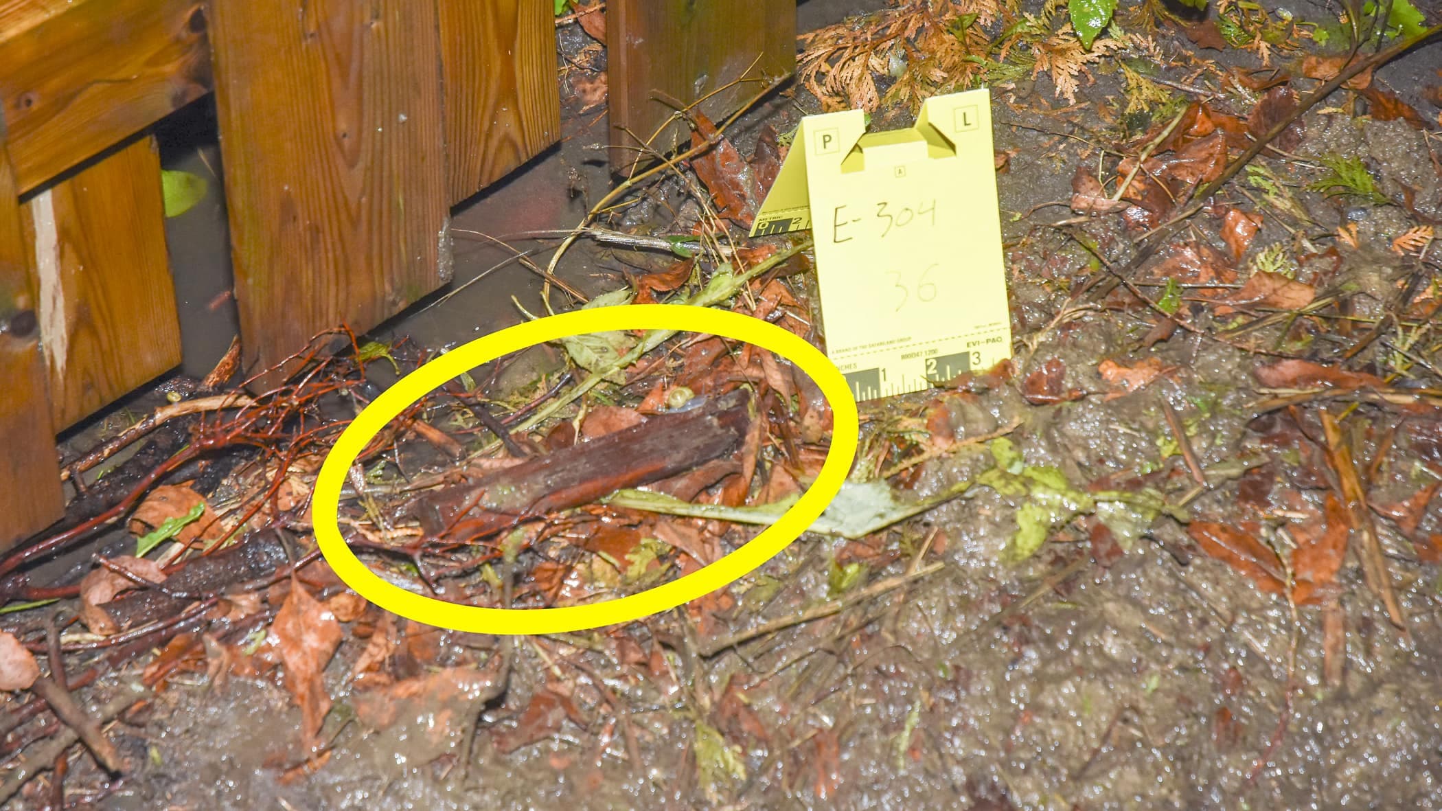 Il l’aurait tuée avec cette queue de billard trouvée dans le jardin.