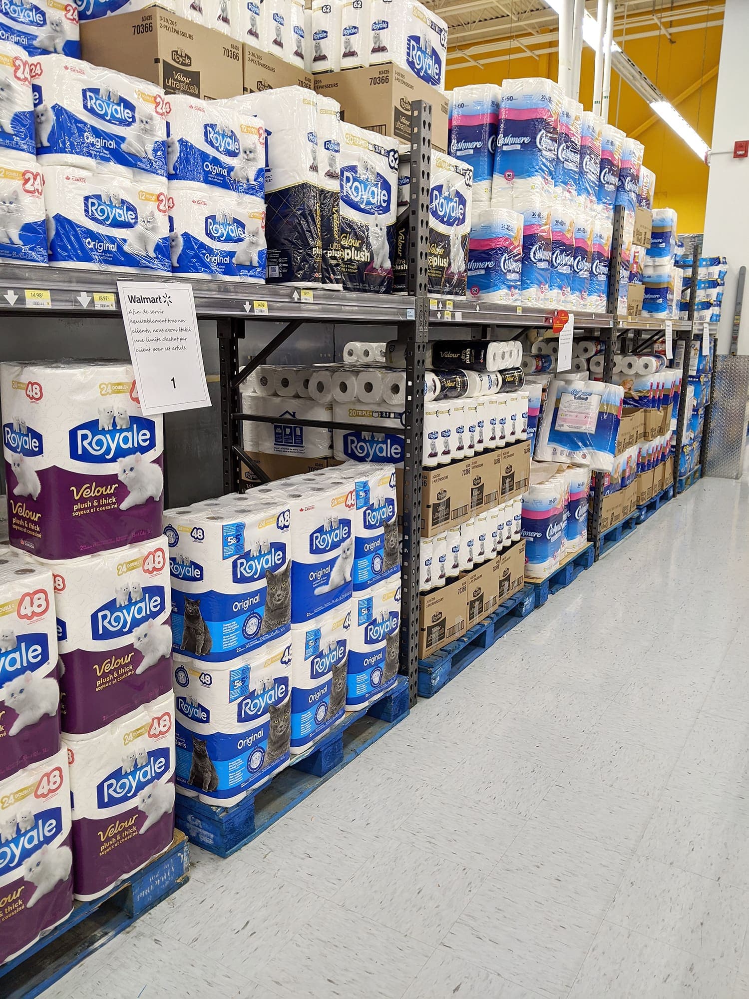 Photo Diane Tremblay