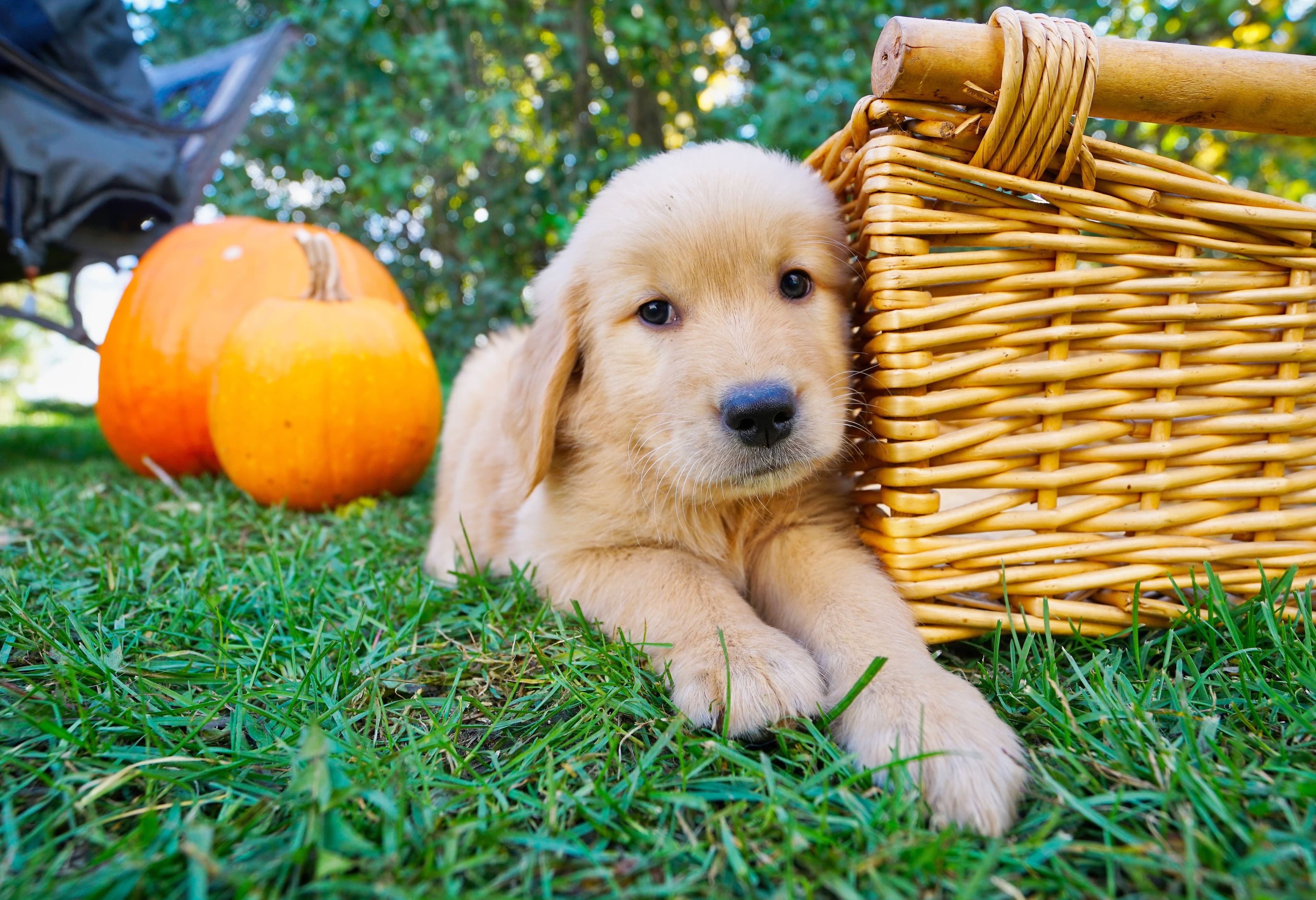 MARIO BEAUREGARD/AGENCE QMI