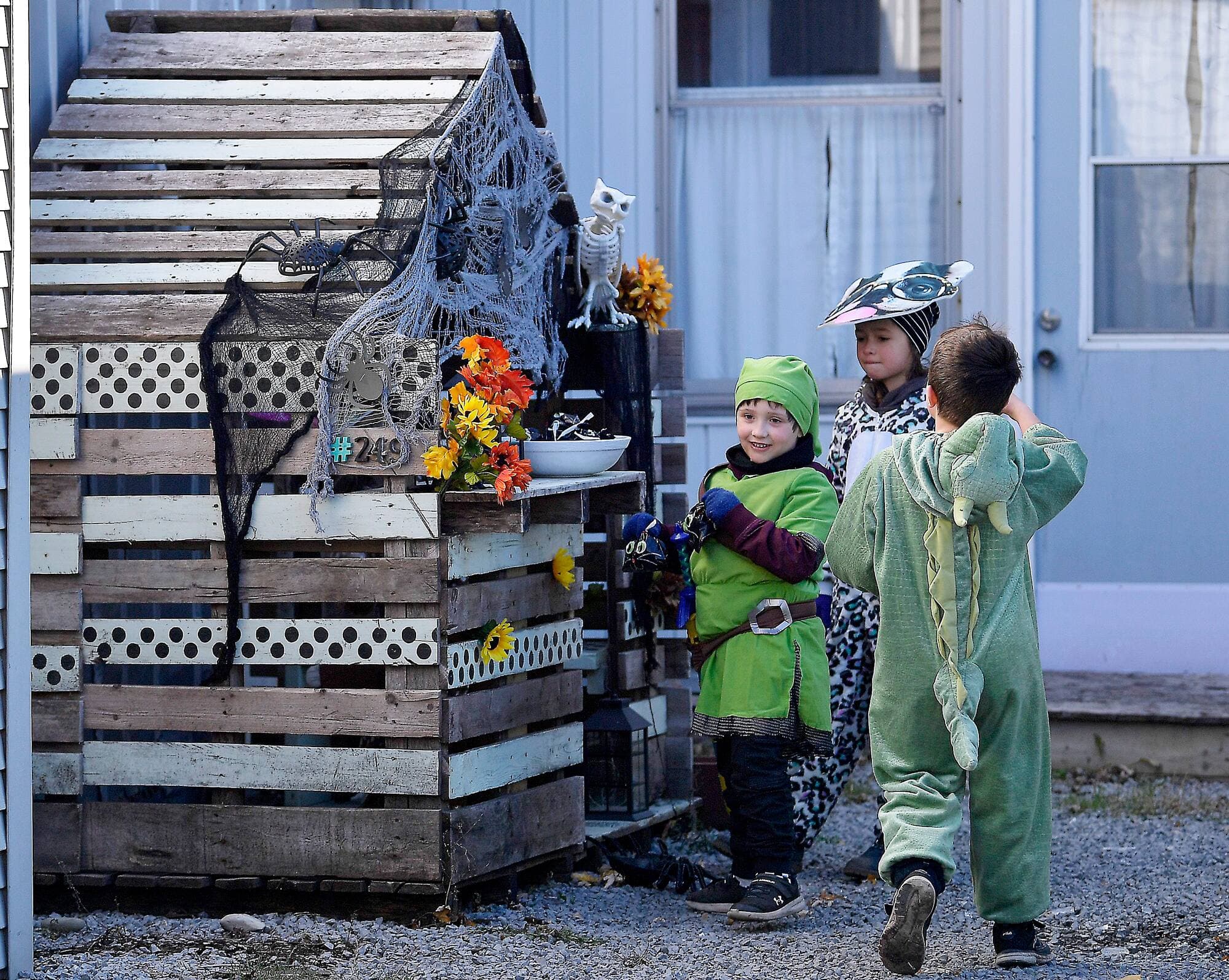 Photo Didier Debusschère