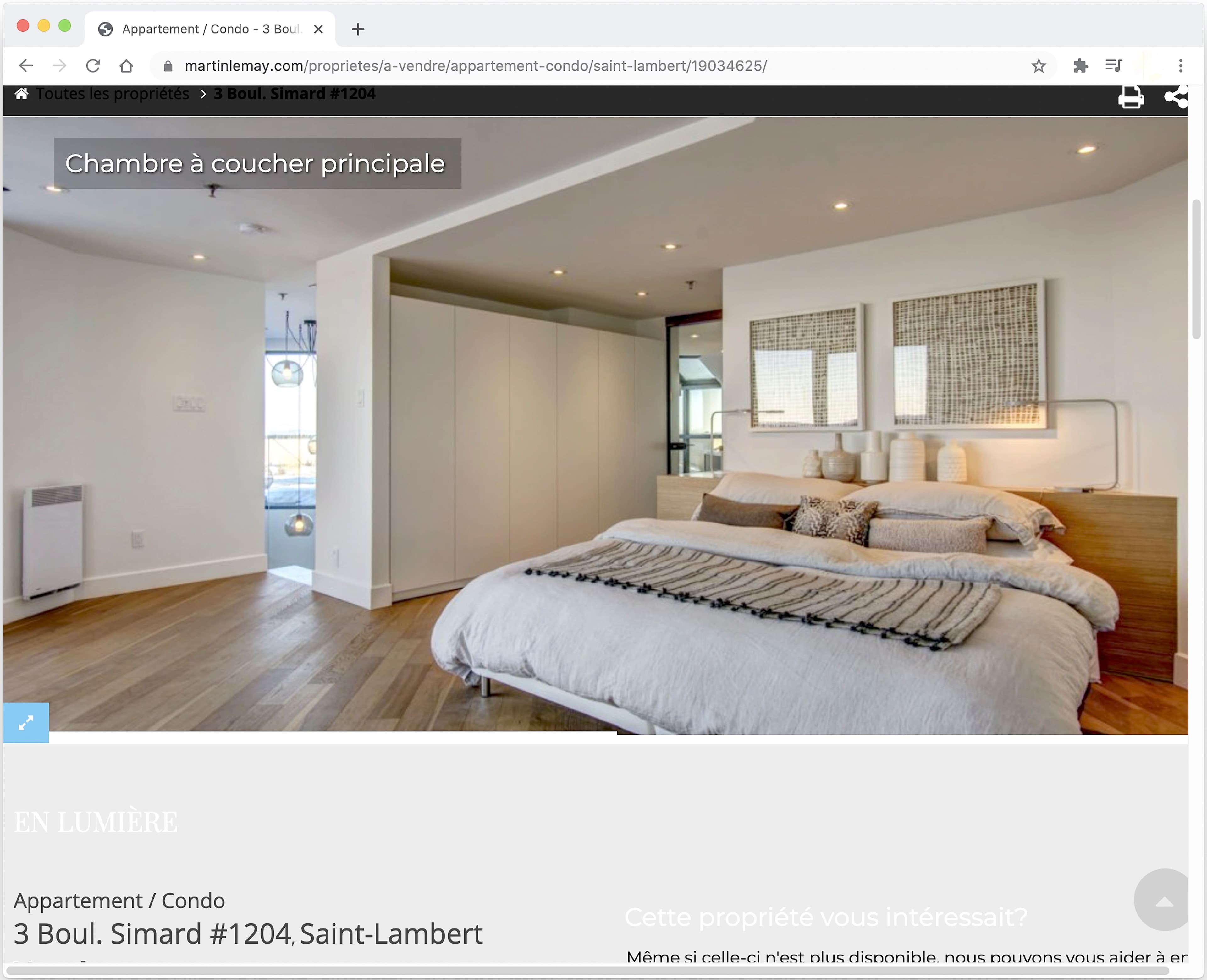 Capture écran MARTINLEMAY.com