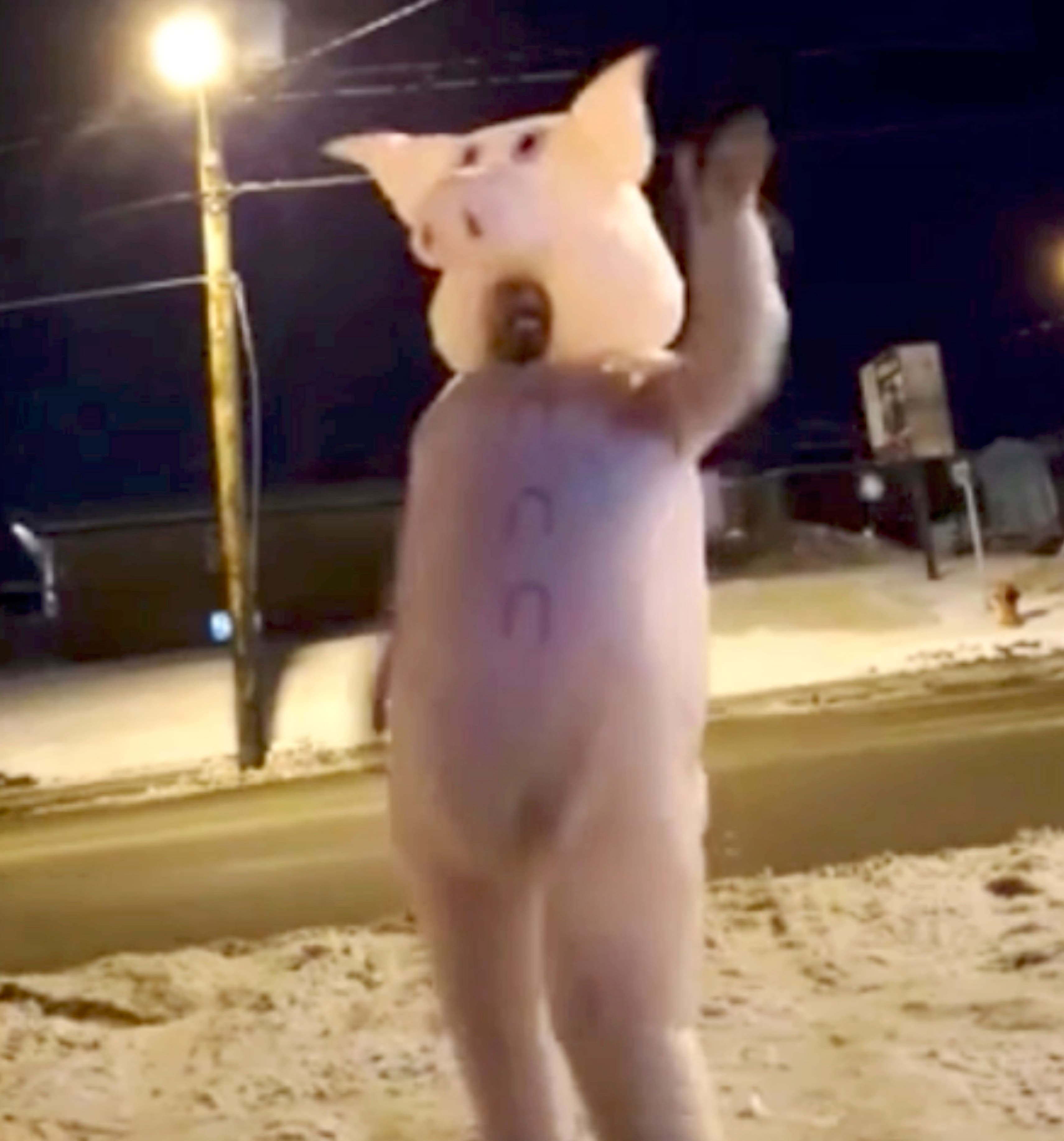 Photo tirée de Facebook