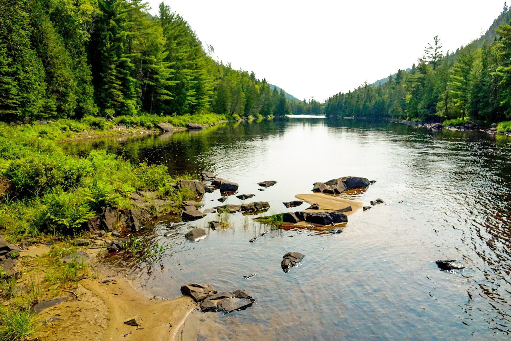 Le parc régional de la Forêt-Ouareau, dans Lanaudière, un exemple de territoire dont la protection fait débat.