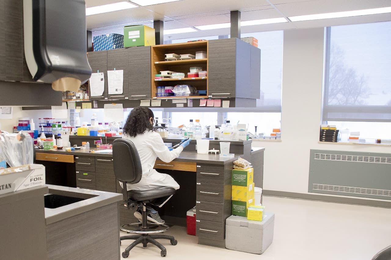 Le laboratoire à l'Institut universitaire de cardiologie et de pneumologie de Québec du chercheur Gary Kobinger. COURTOISIE
