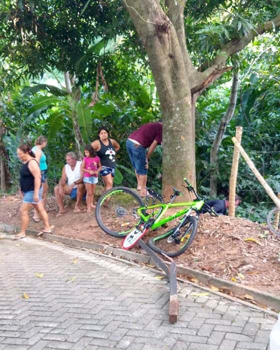 Michel Brûlé aurait été victime d’un accident de vélo mortel au Brésil, lundi. La photo publiée par un média local montre la bicyclette accidentée sur laquelle le Québécois aurait pris place, gisant à côté d’un panneau de signalisation, tout près d’un gros arbre.