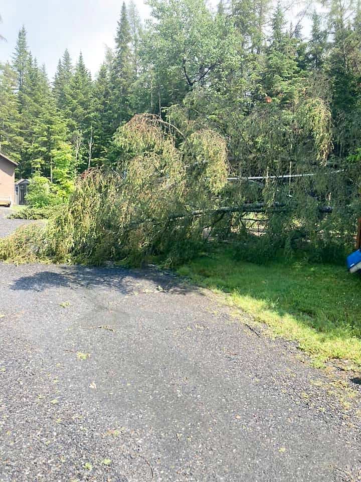 Des arbres brisés dans le secteur de Lambton, à une vingtaine de kilomètres à l’ouest de Saint-Georges.