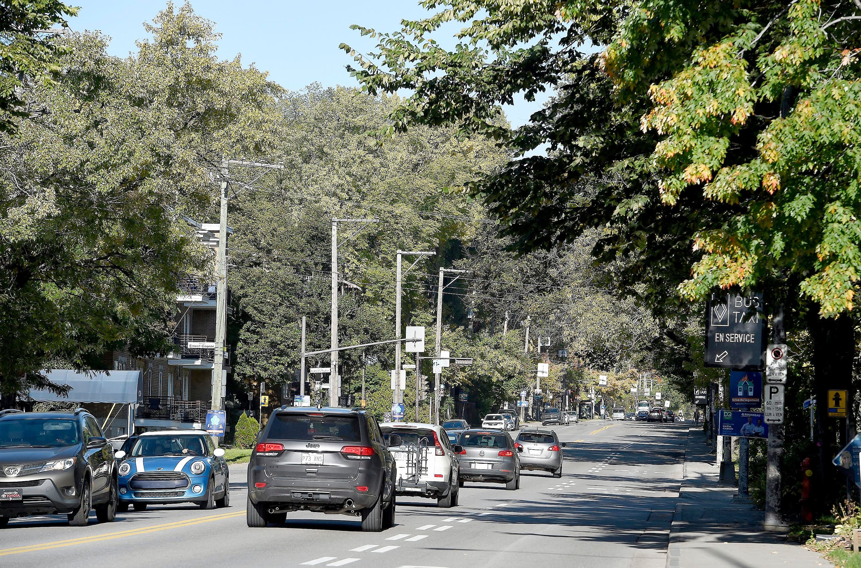 Des arbres seront coupés sur le boulevard René-Lévesque pour permettre l’insertion du tramway, mais on ne sait pas encore combien.