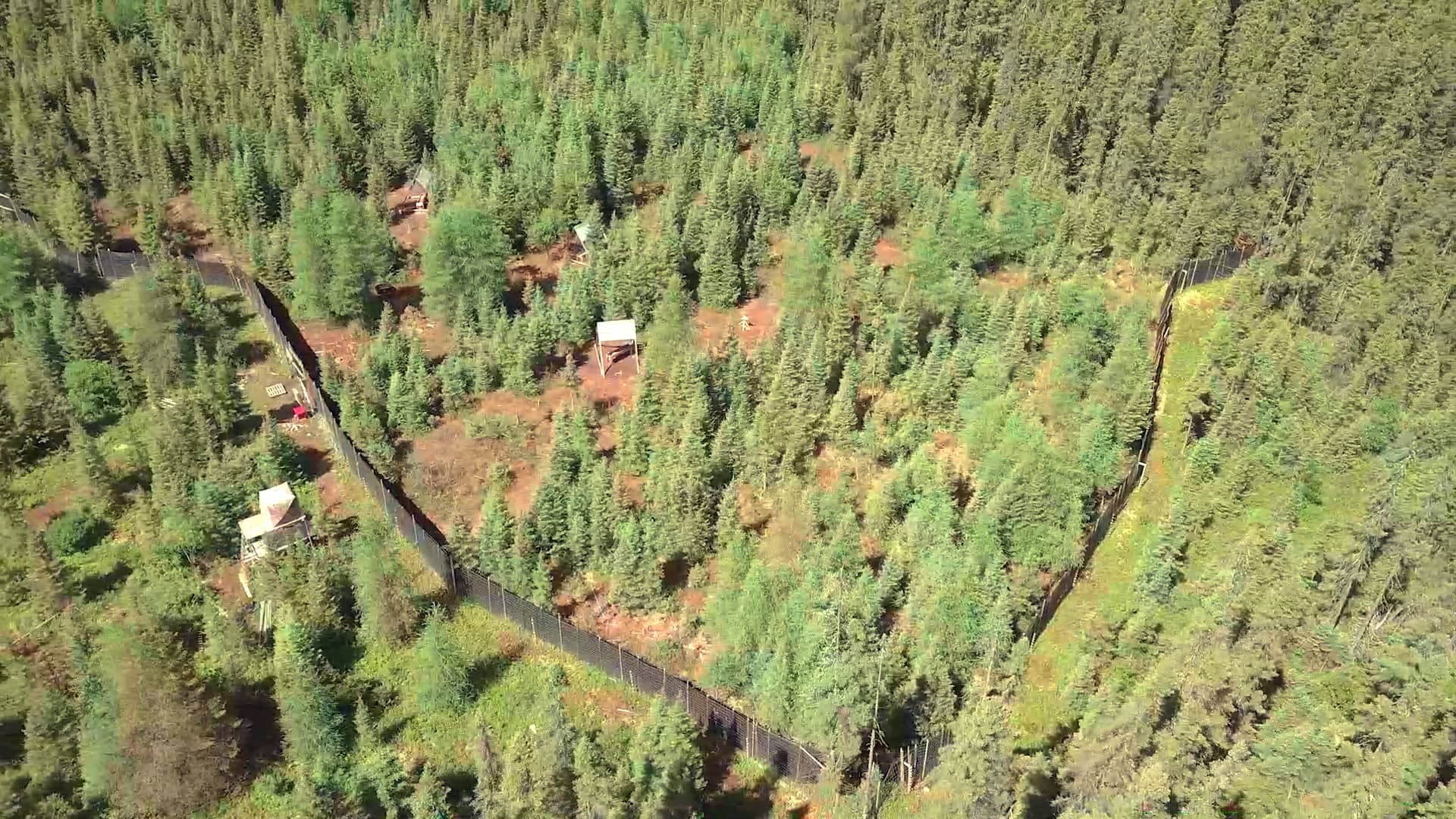 Sur cette image on aperçoit (de gauche à droite) la tour d'observation, la porte de l'enclos (en rouge) ainsi qu'une des mangeoires.