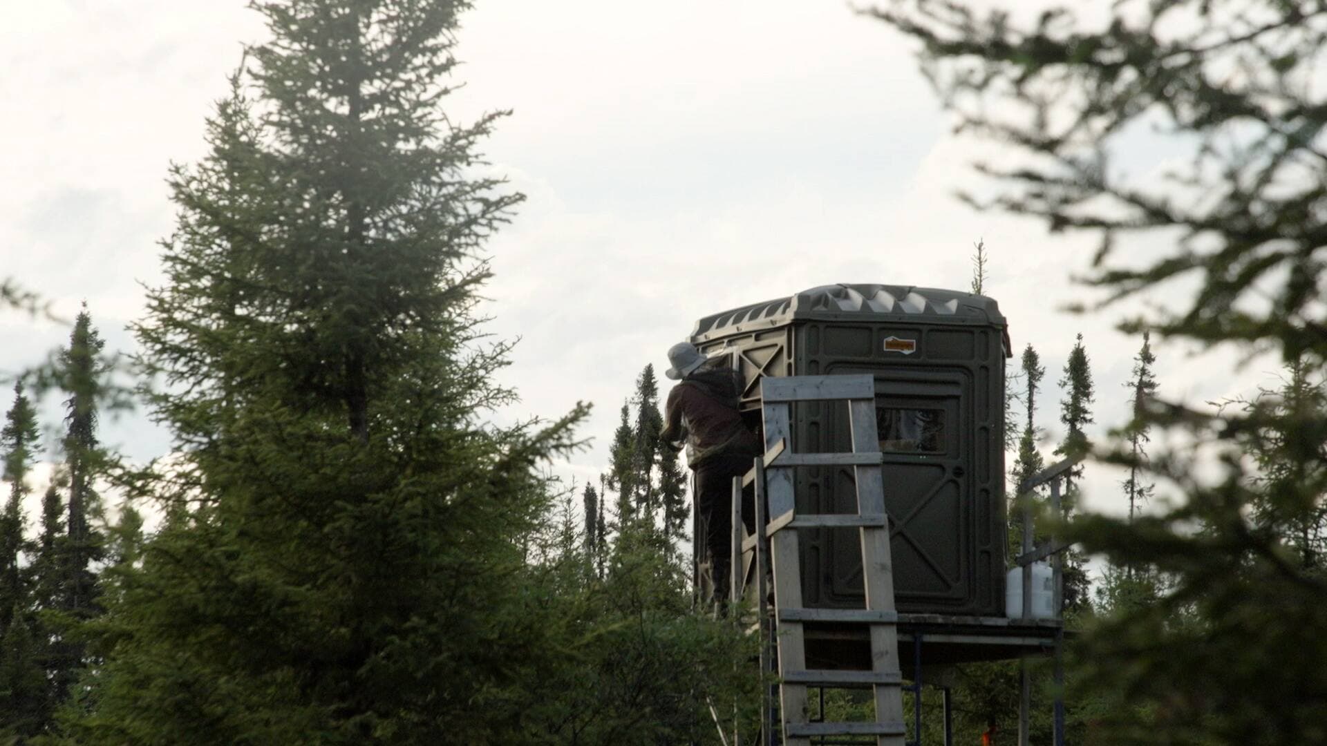 Les caribous sont surveillés de cette tour d'observation au minimum 4 heures par jour.