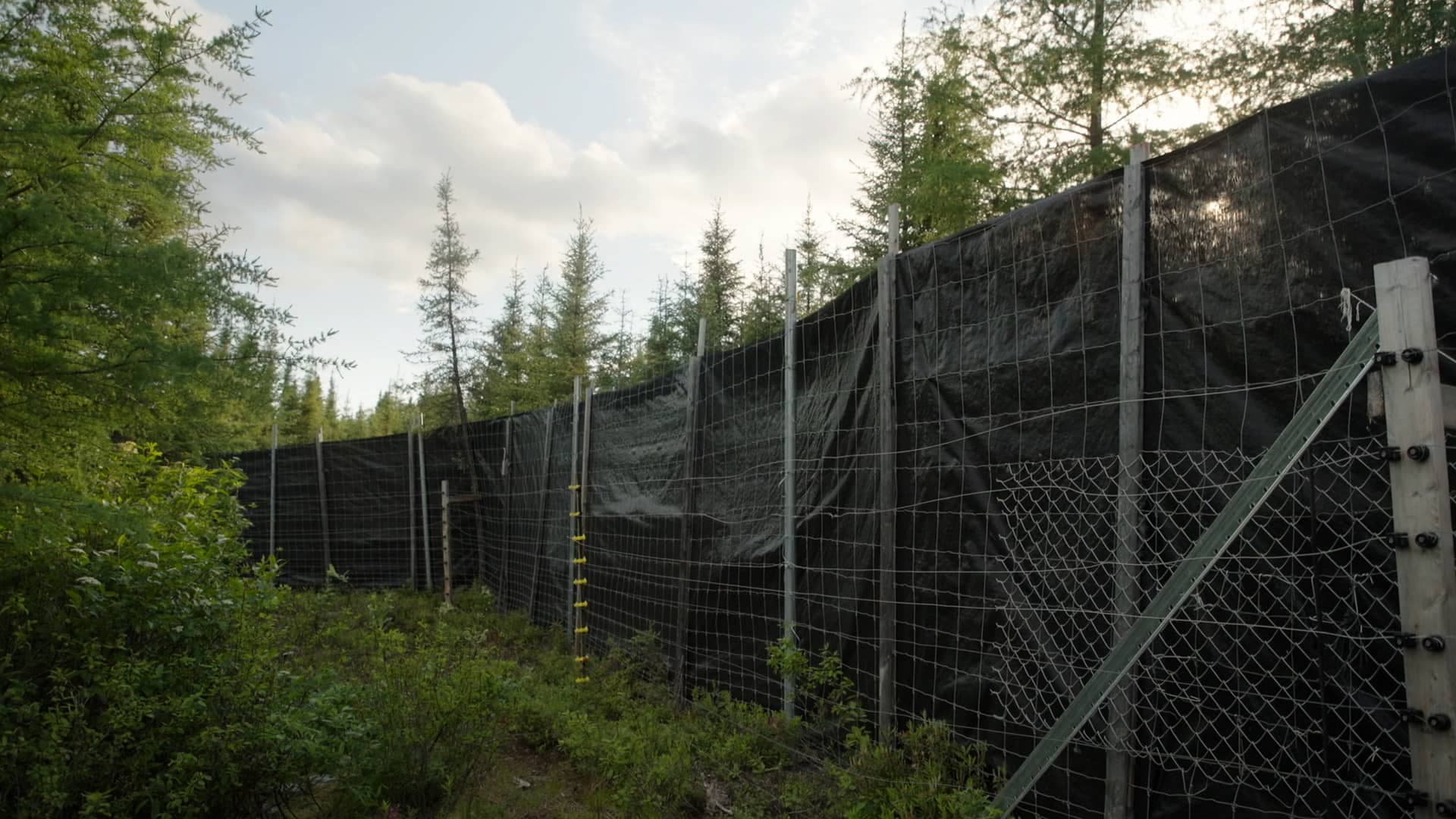 Les clôtures sont construites en métal ; poteaux et treillis de type gibier.