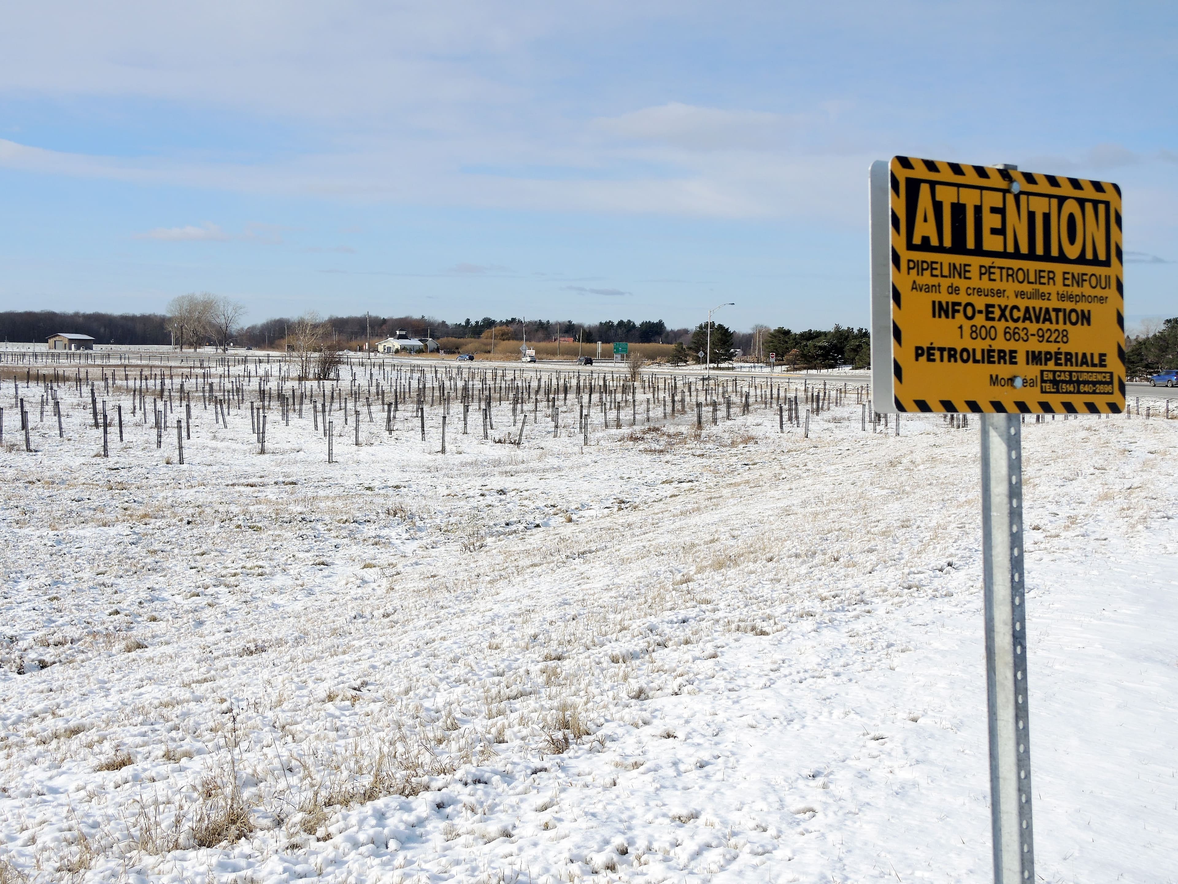 Photo Dominique Cambron-Goulet