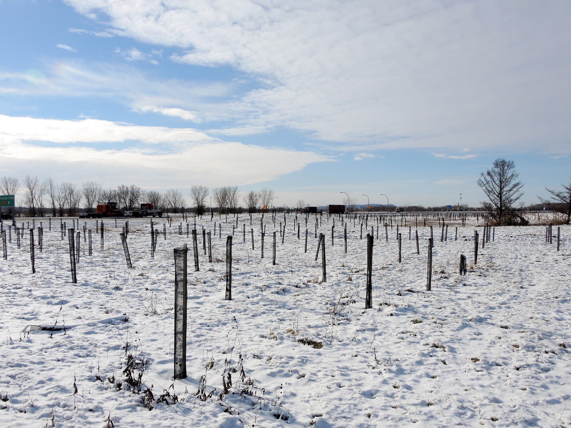 Photo Dominique Cambron-Goulet