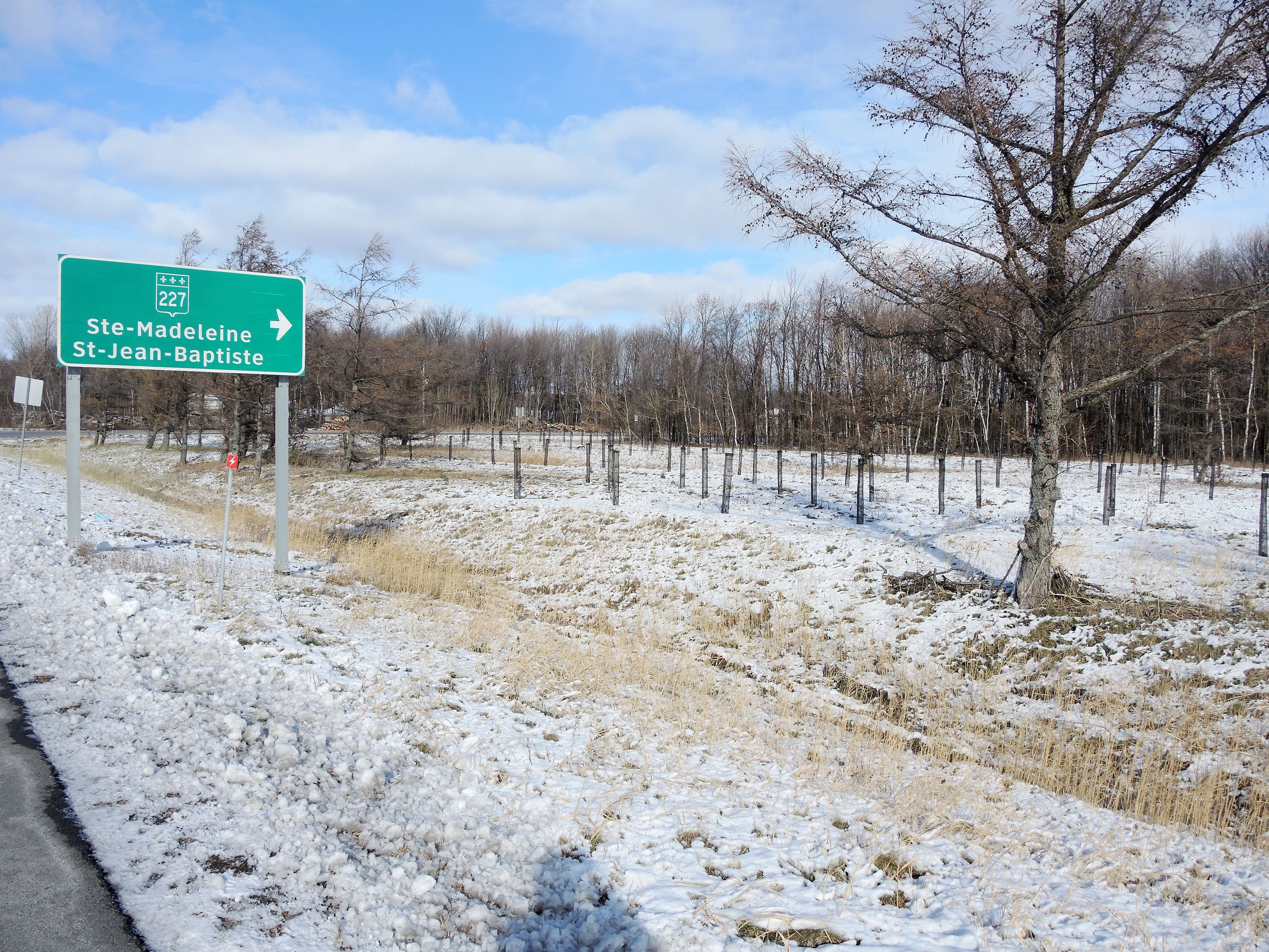 Photo Dominique Cambron-Goulet