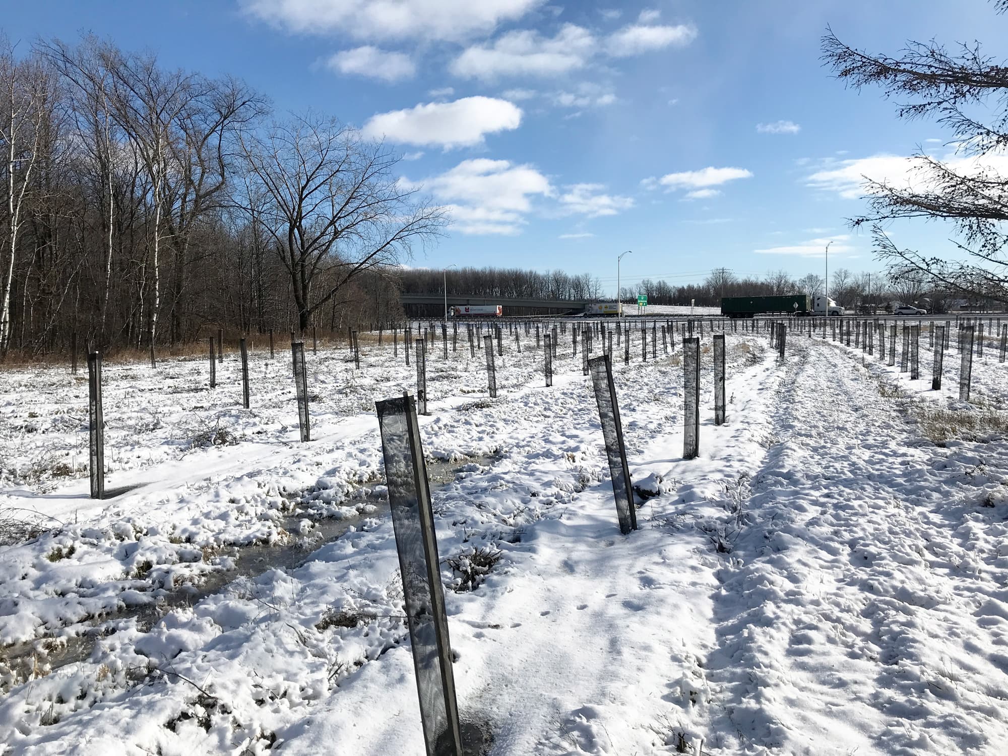 Photo Dominique Cambron-Goulet