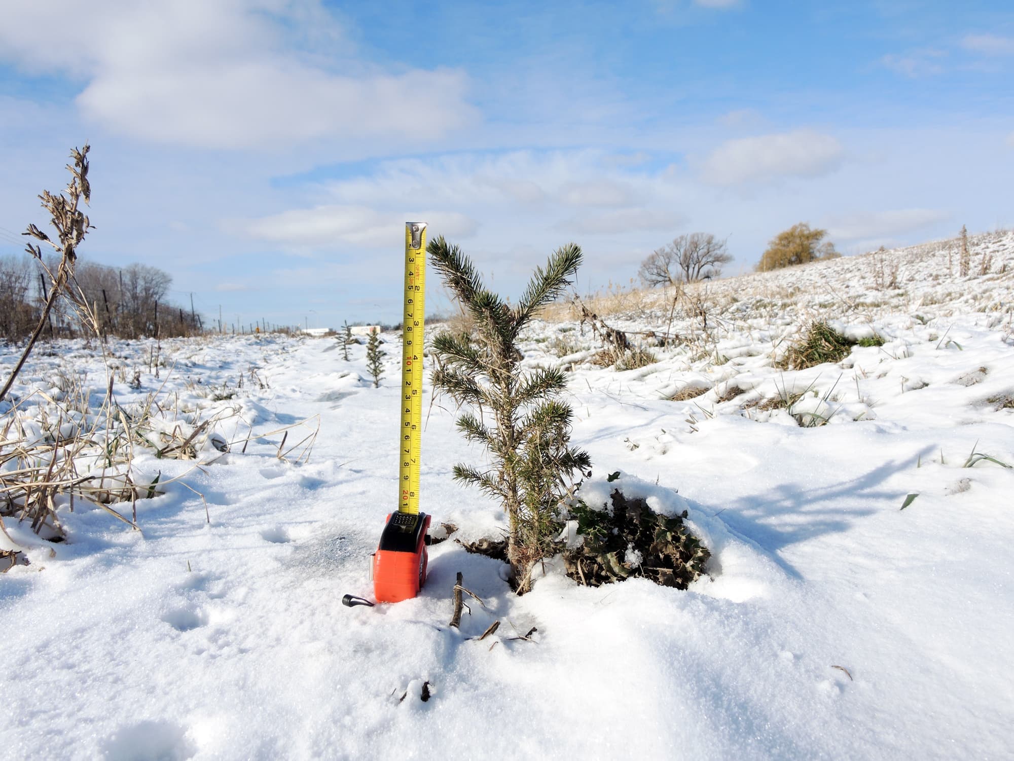 Photo Dominique Cambron-Goulet