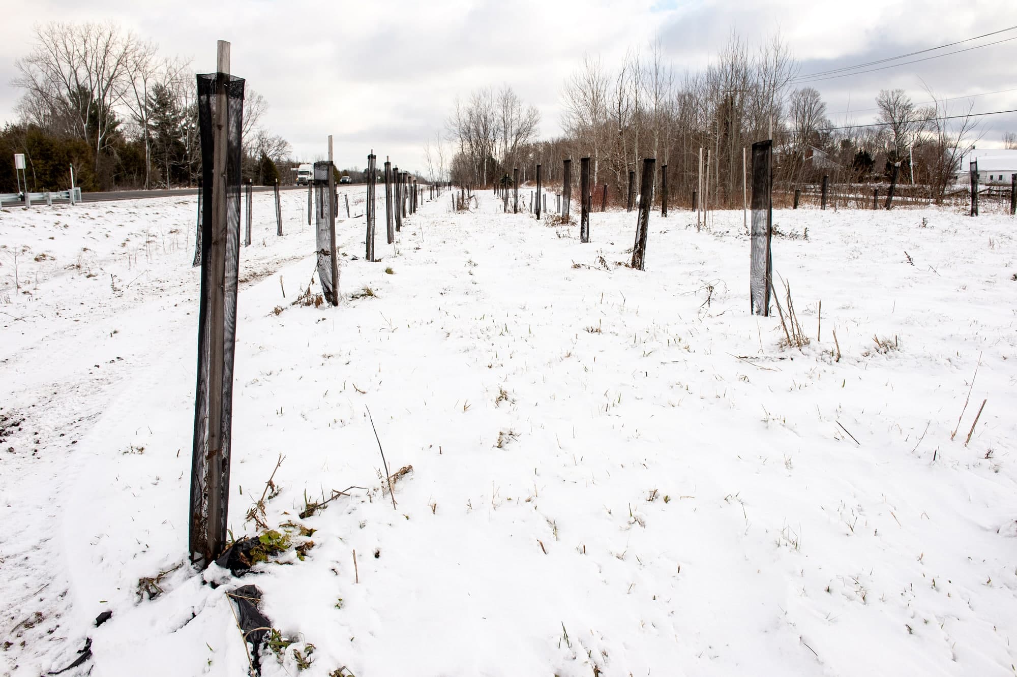 Photo Pierre-Paul Poulin