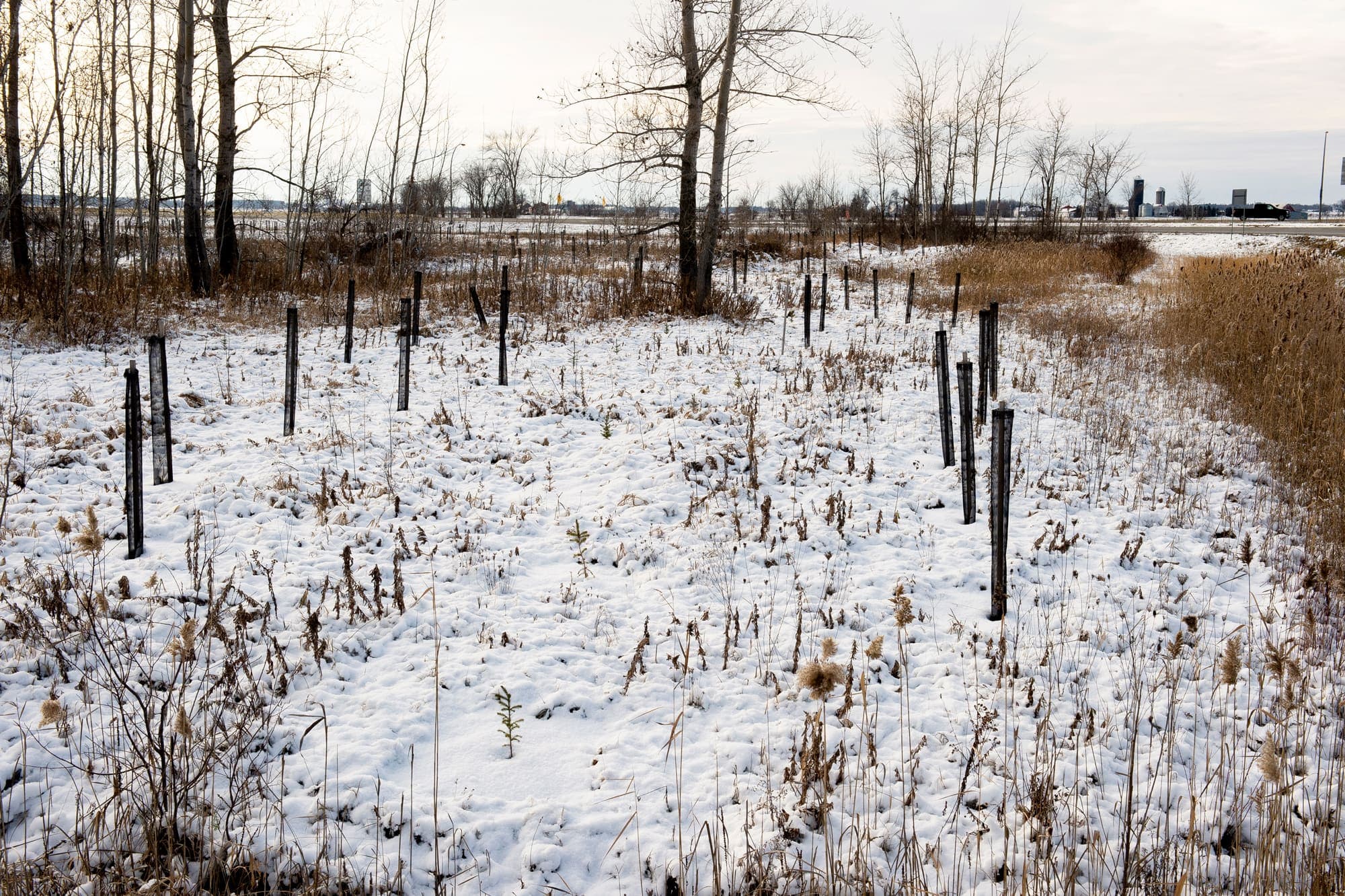 Photo Pierre-Paul Poulin