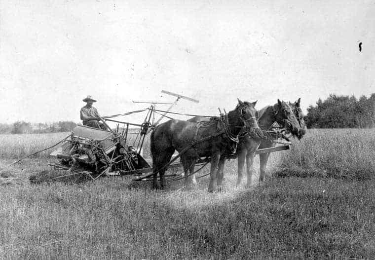 Photo courtoisie, Bibliothèque et Archives Canada