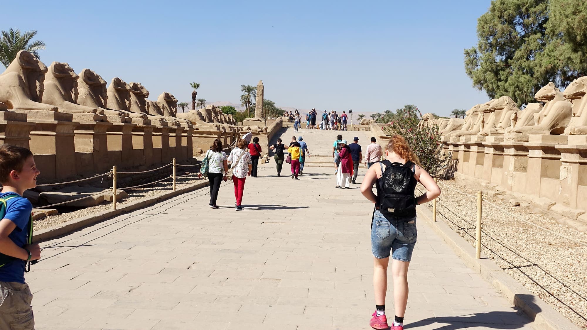 Des sphinx à tête de bélier conduisent à l’entrée du temple d’Amon à Karnak.