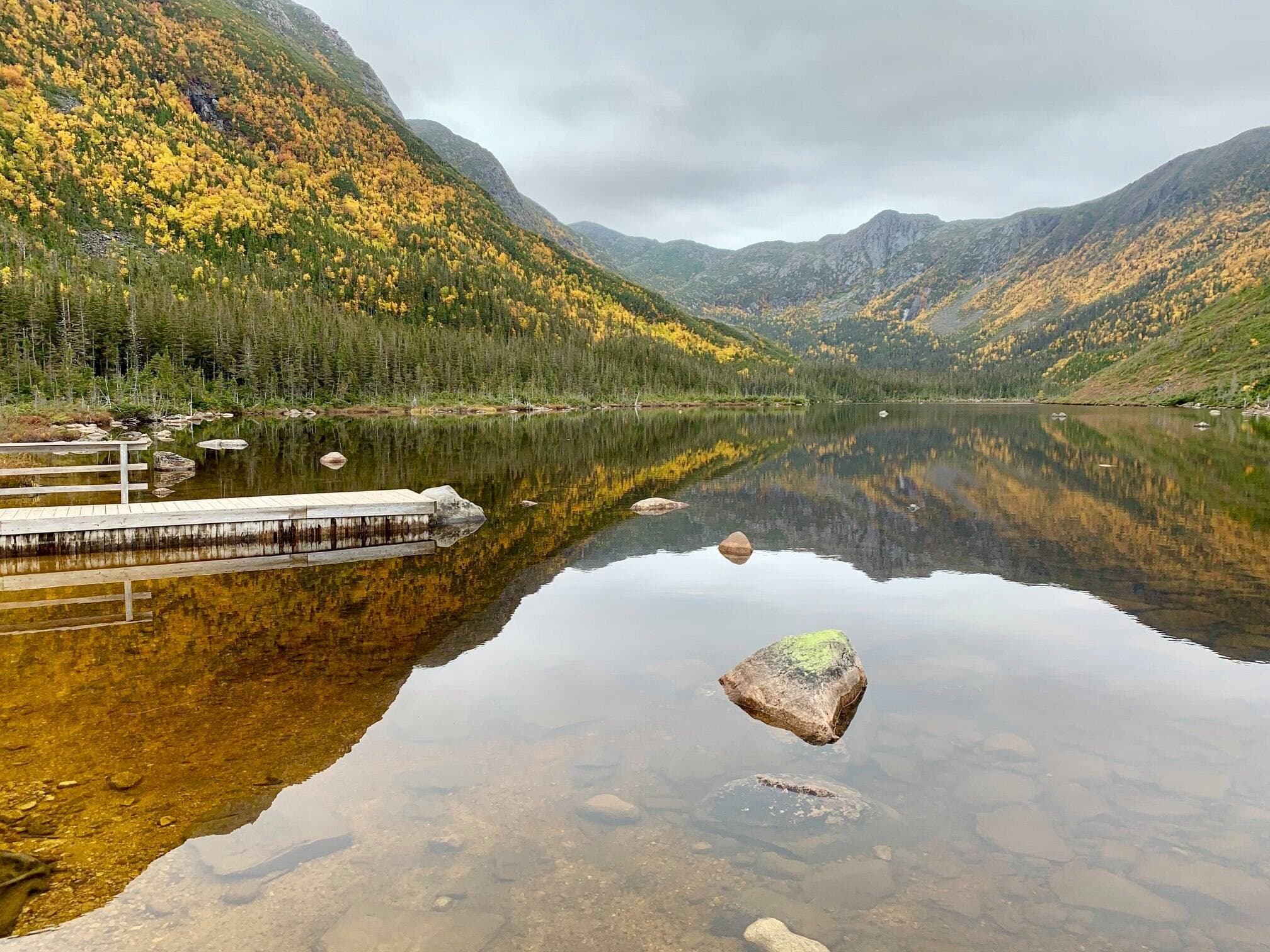 @parcnationaldelagaspesie