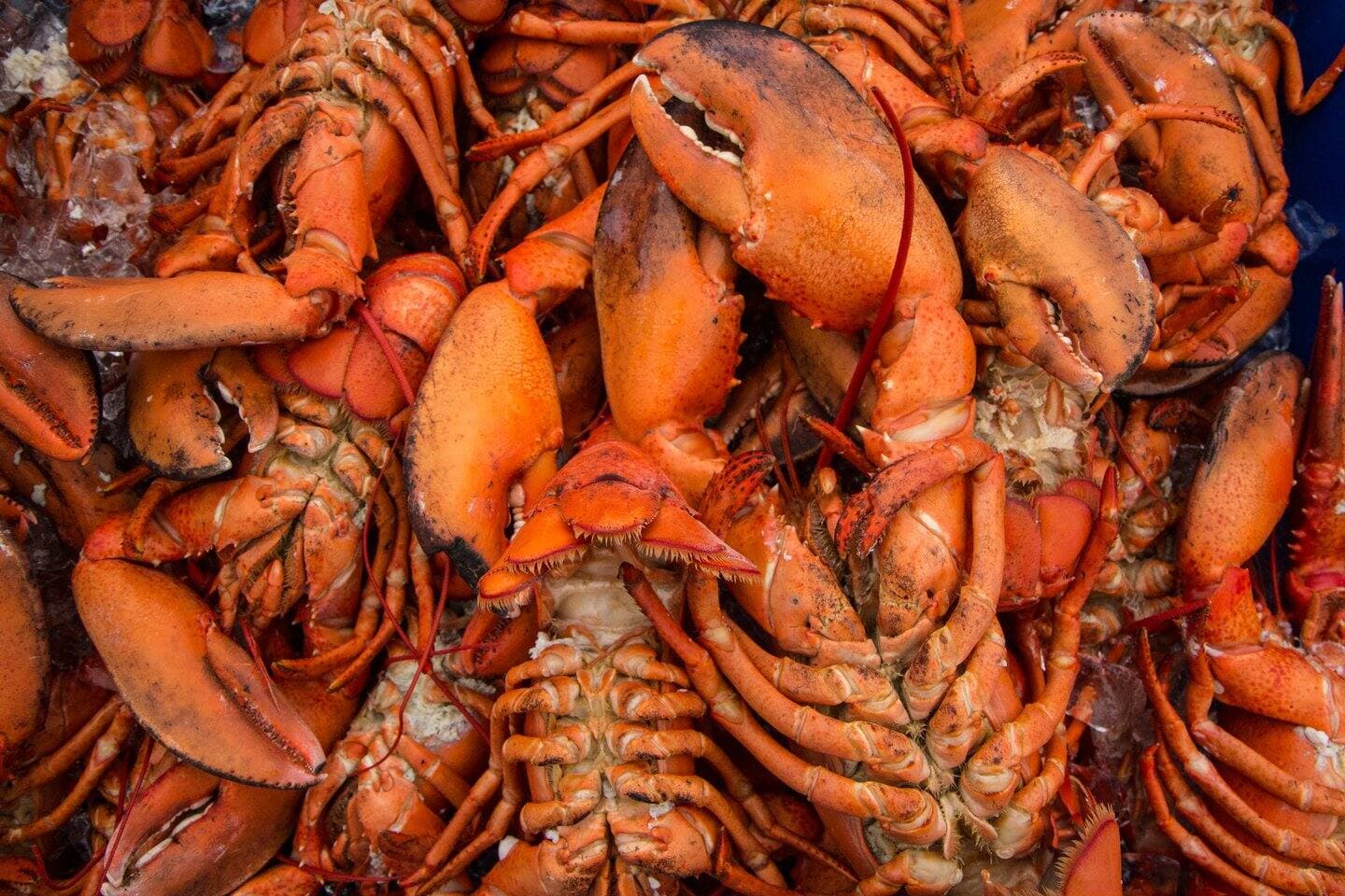 Facebook : @DestinationNB