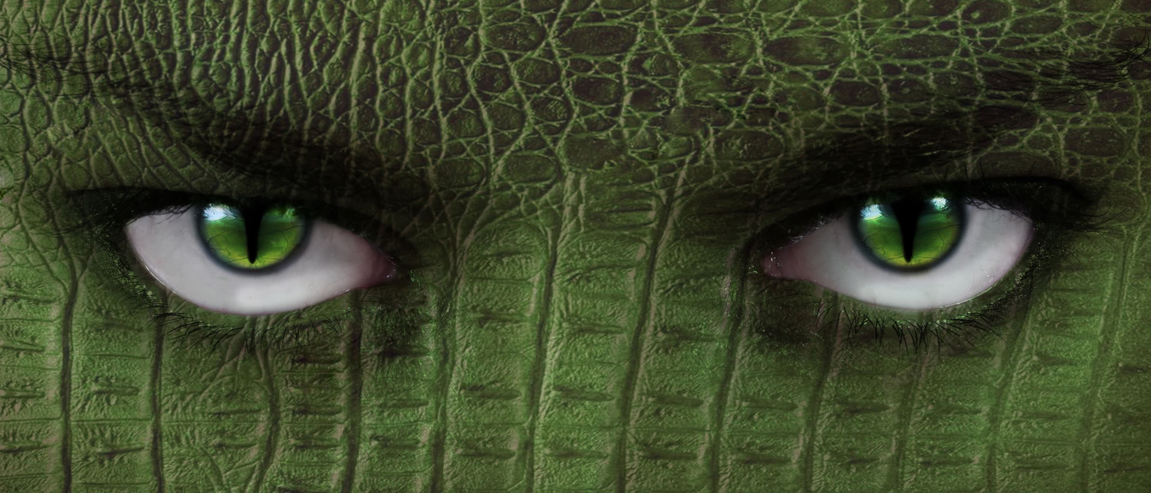 Daylight Photo - stock.adobe.com