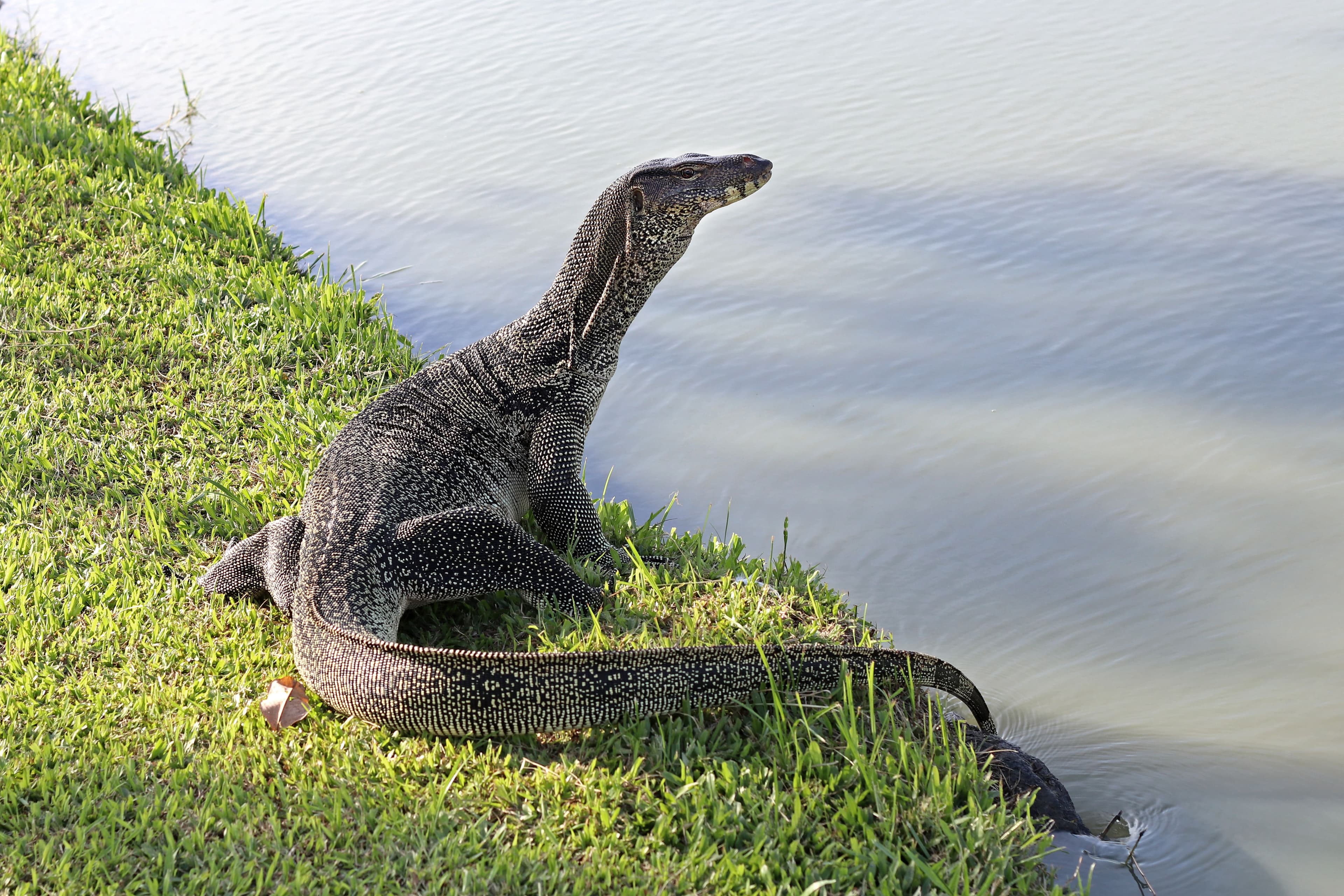 kittisak - stock.adobe.com