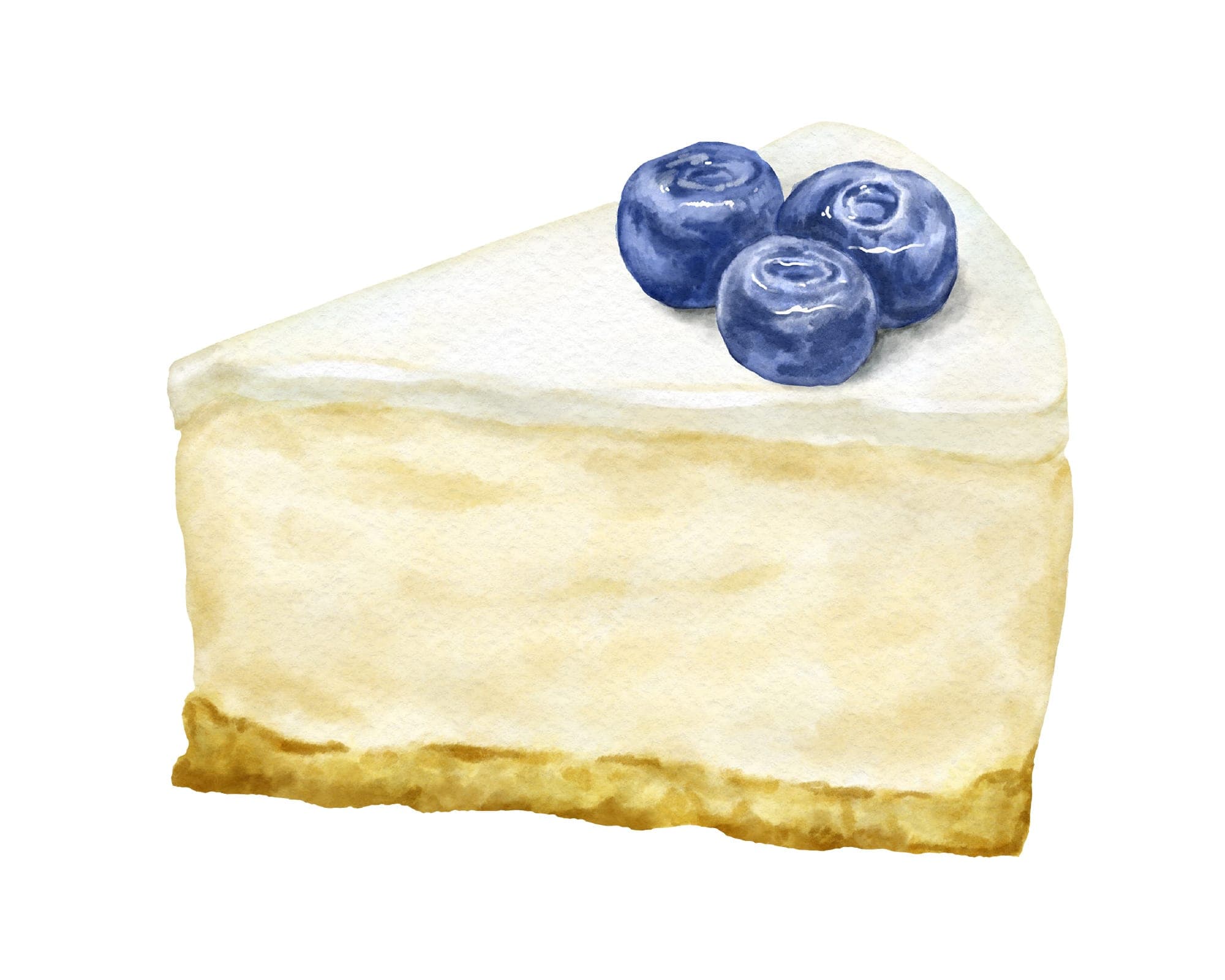 Illustrations Adobe stock