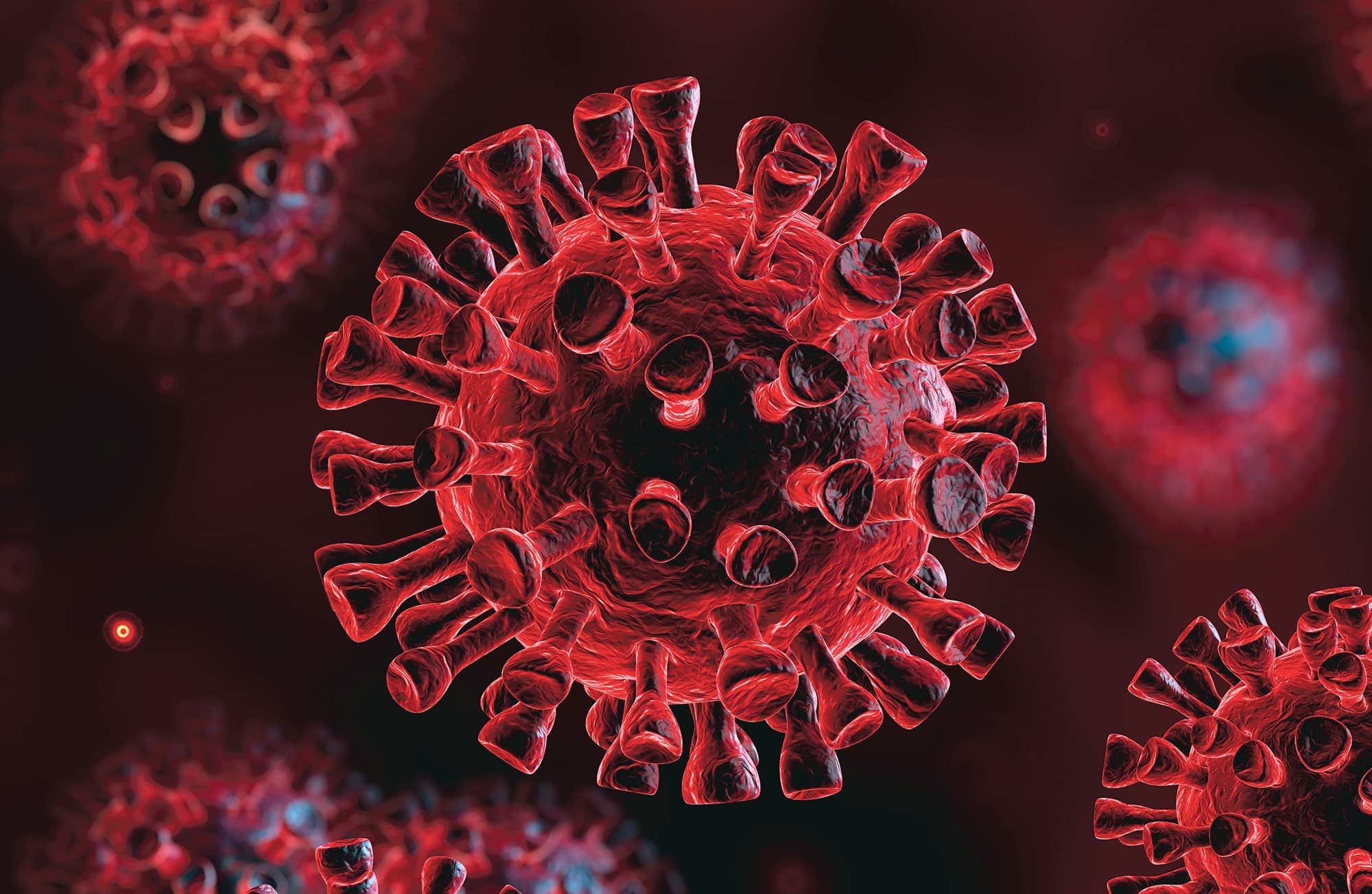 Romolo Tavani - stock.adobe.com