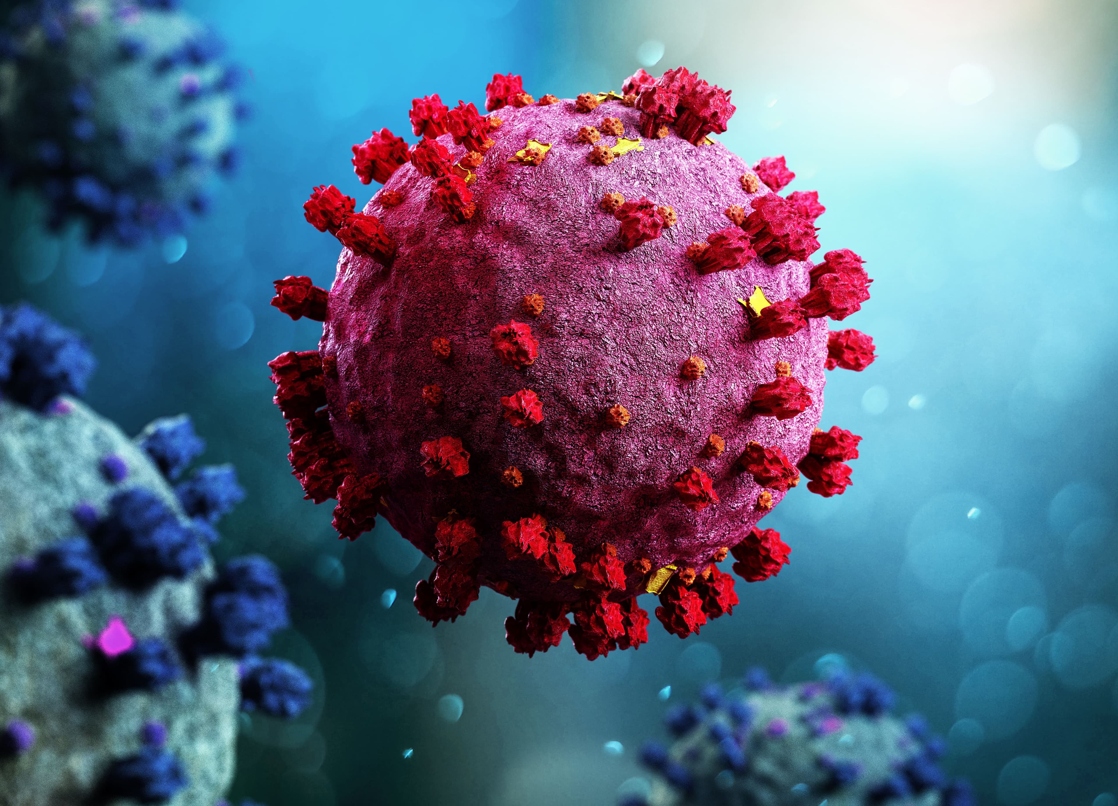 Production Perig - stock.adobe.com