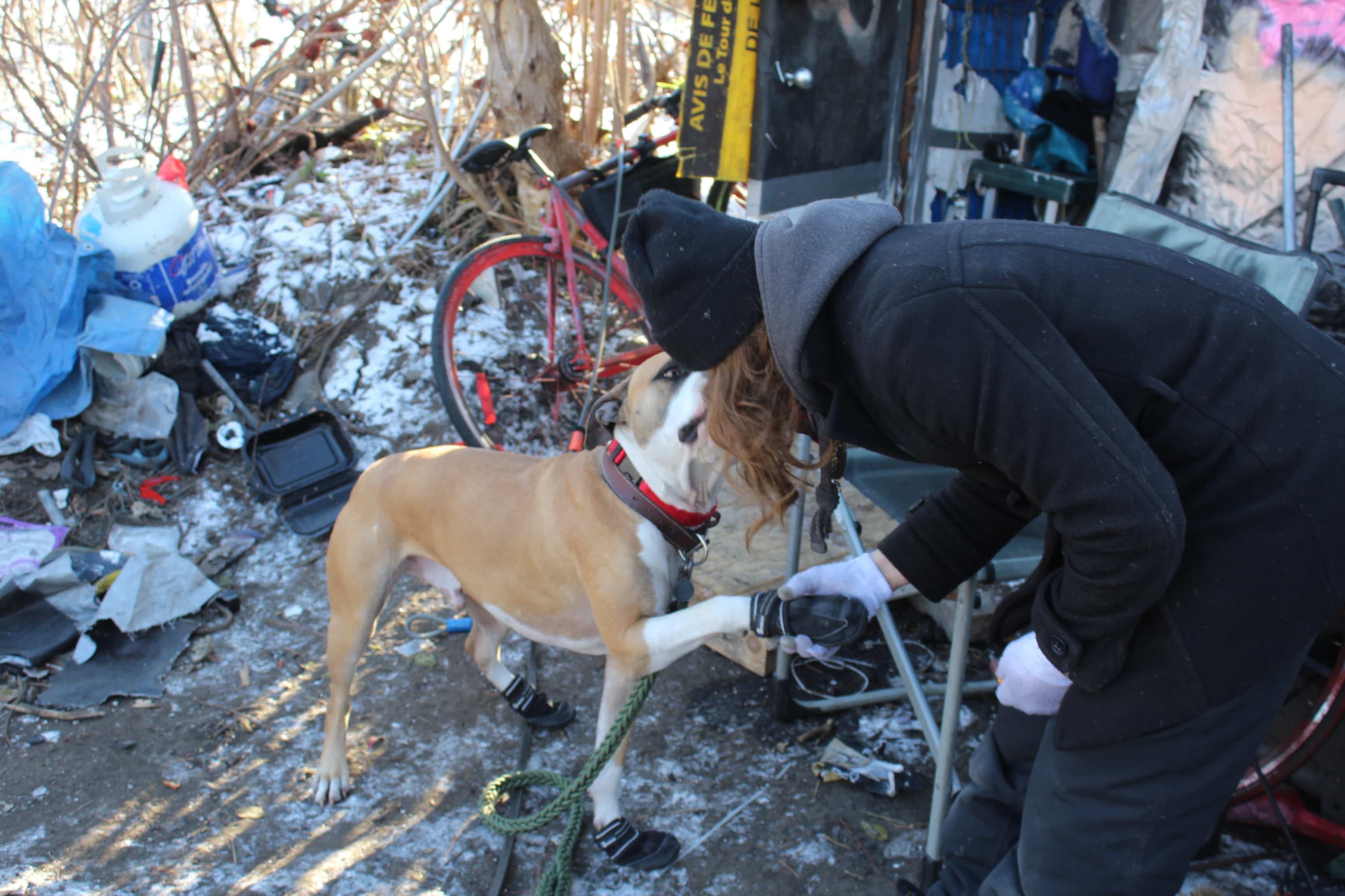 Alexandre Poulin est un ancien du campement Notre-Dame. Il vit dans un boisé montréalais, en novembre 2021.
