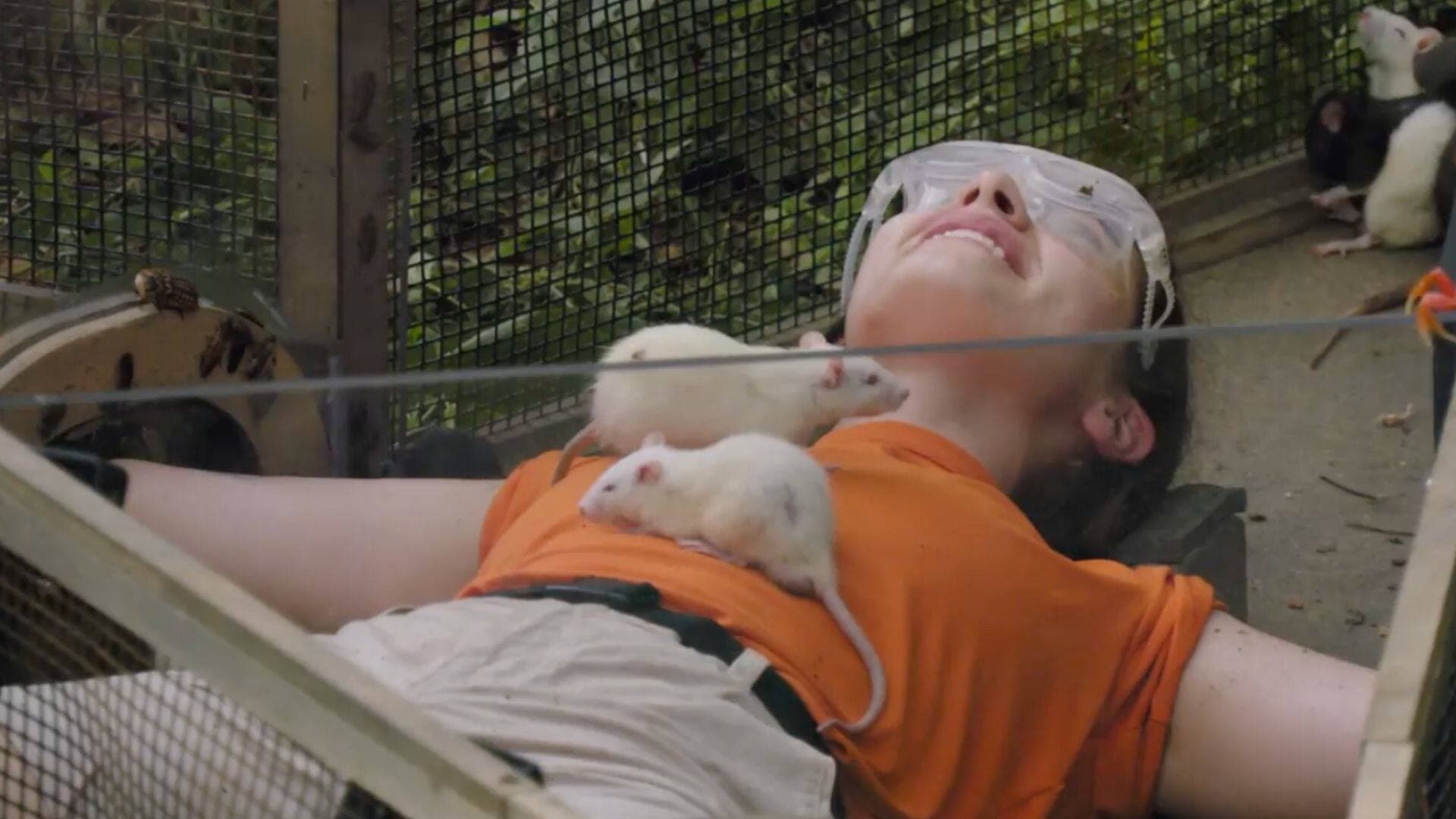 Capture d'écran TVA